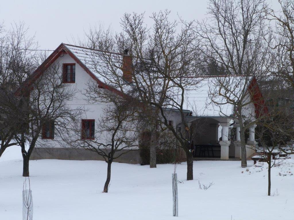 Photo 15