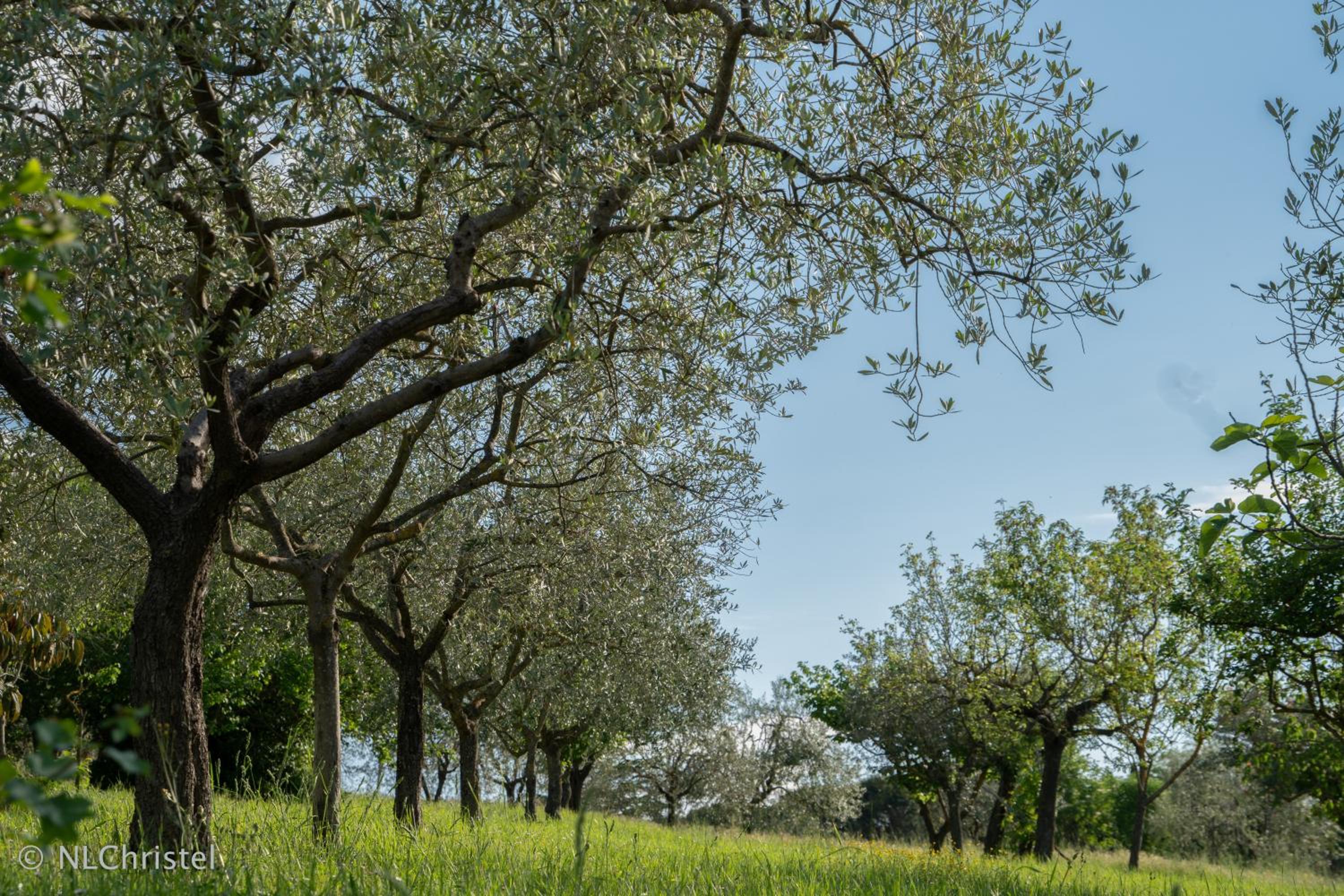 Agriturismo La Pietriccia