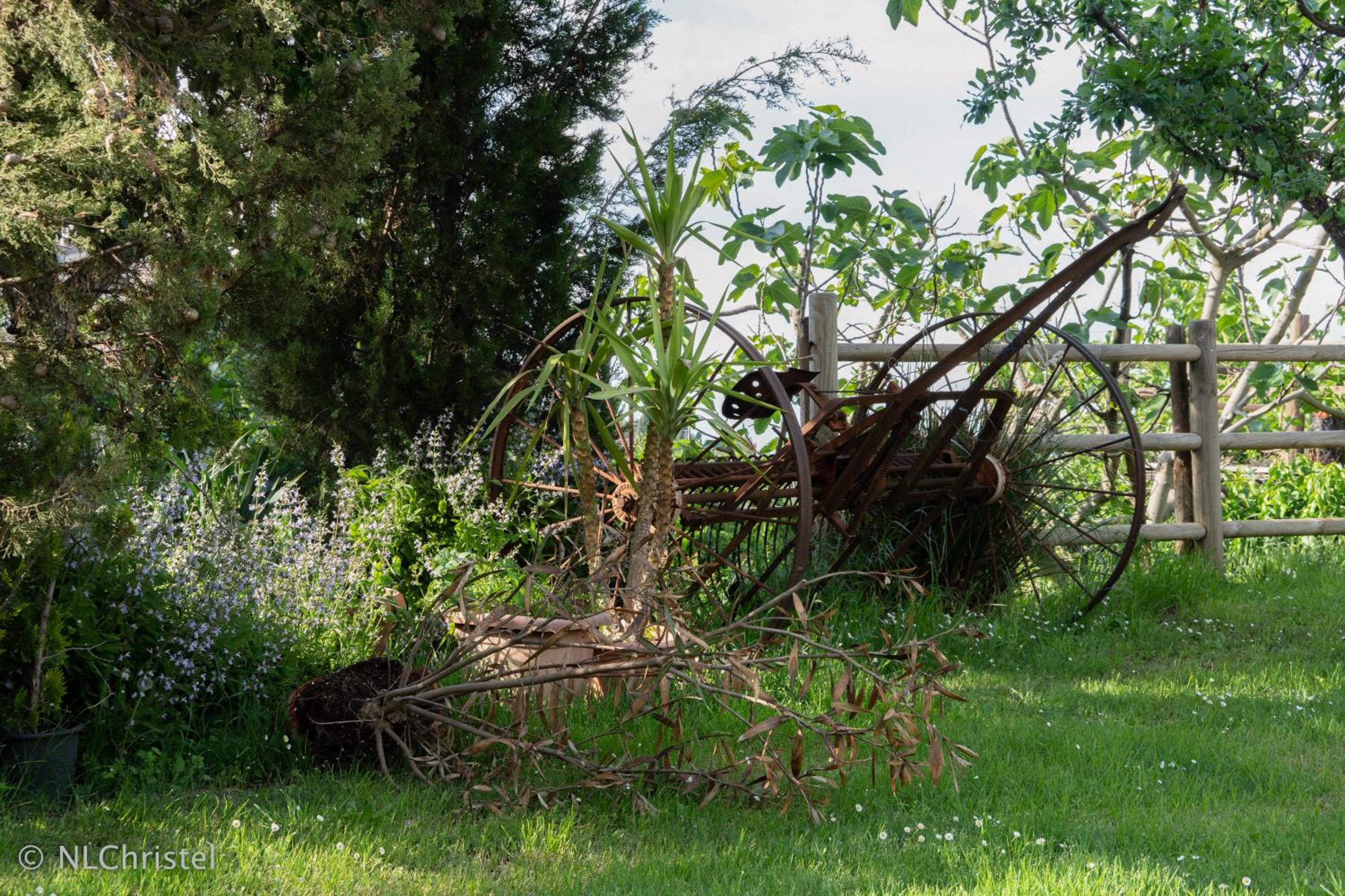 Agriturismo La Pietriccia