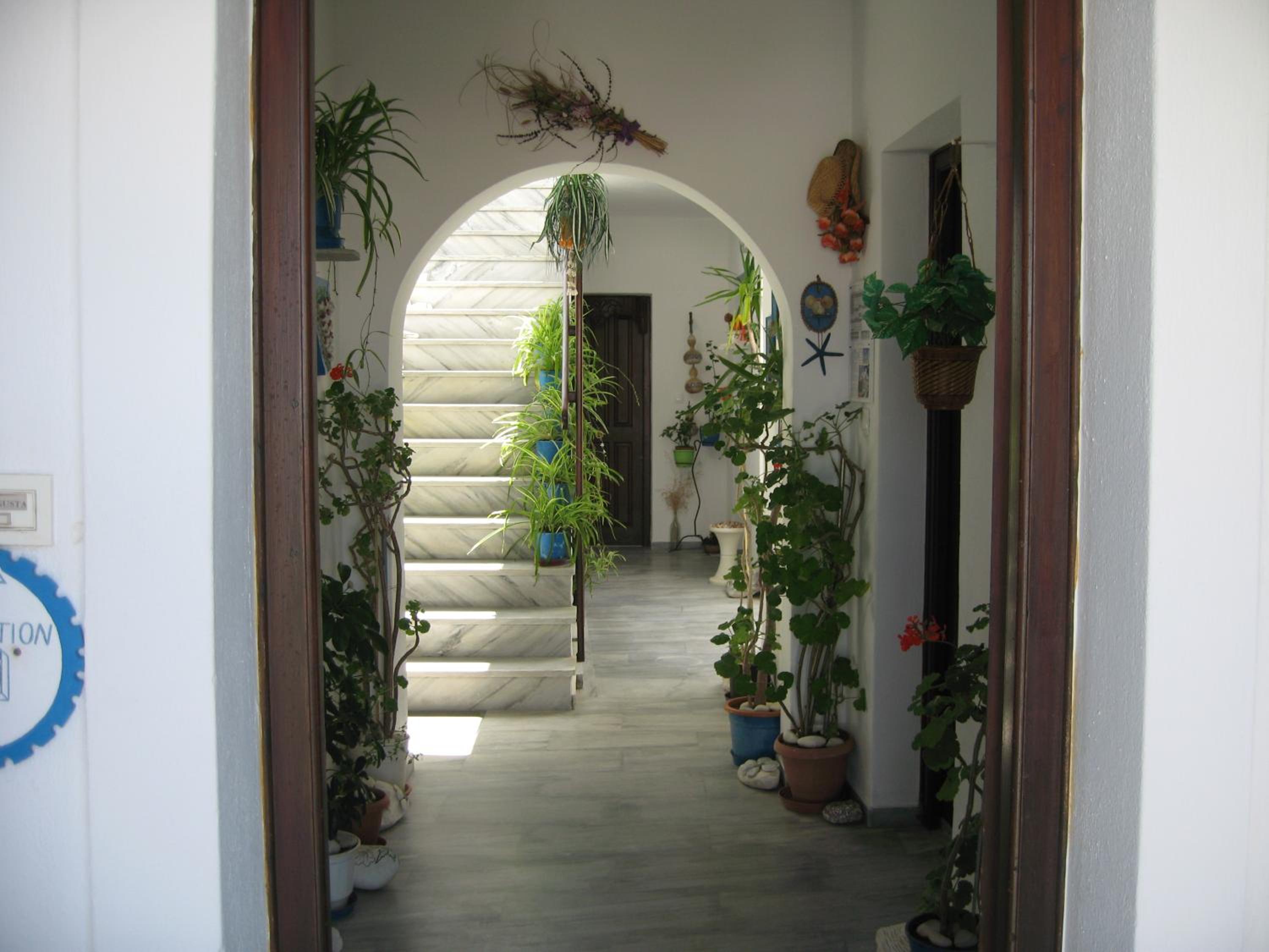 Photo 31