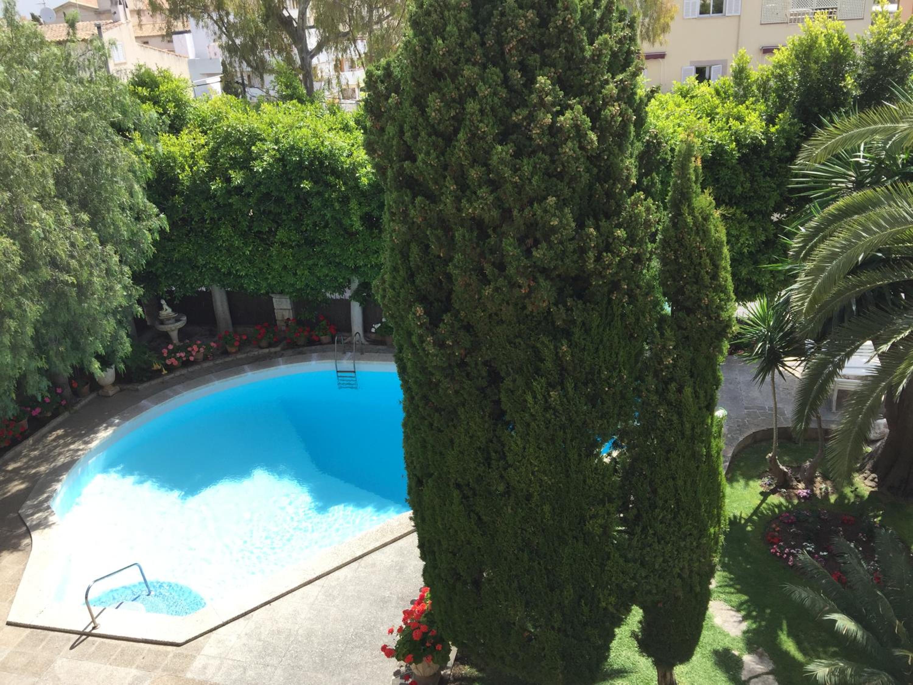 Photo 43