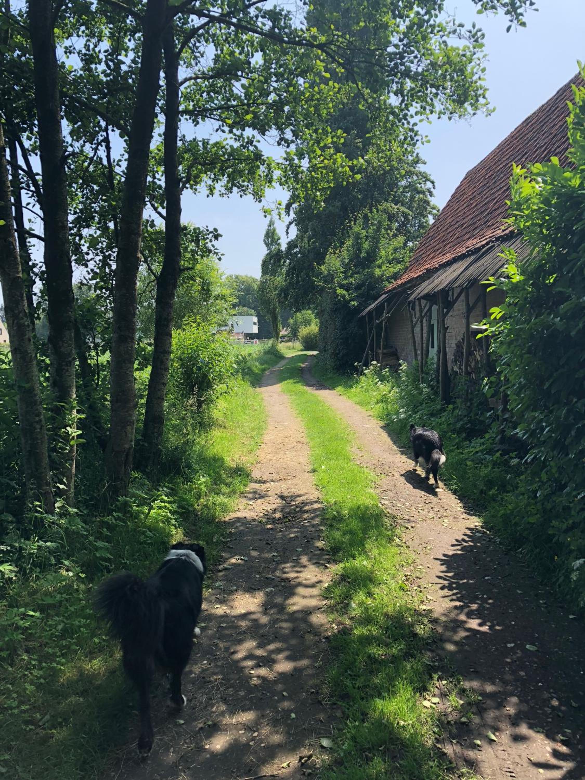 Hof ter Sysen