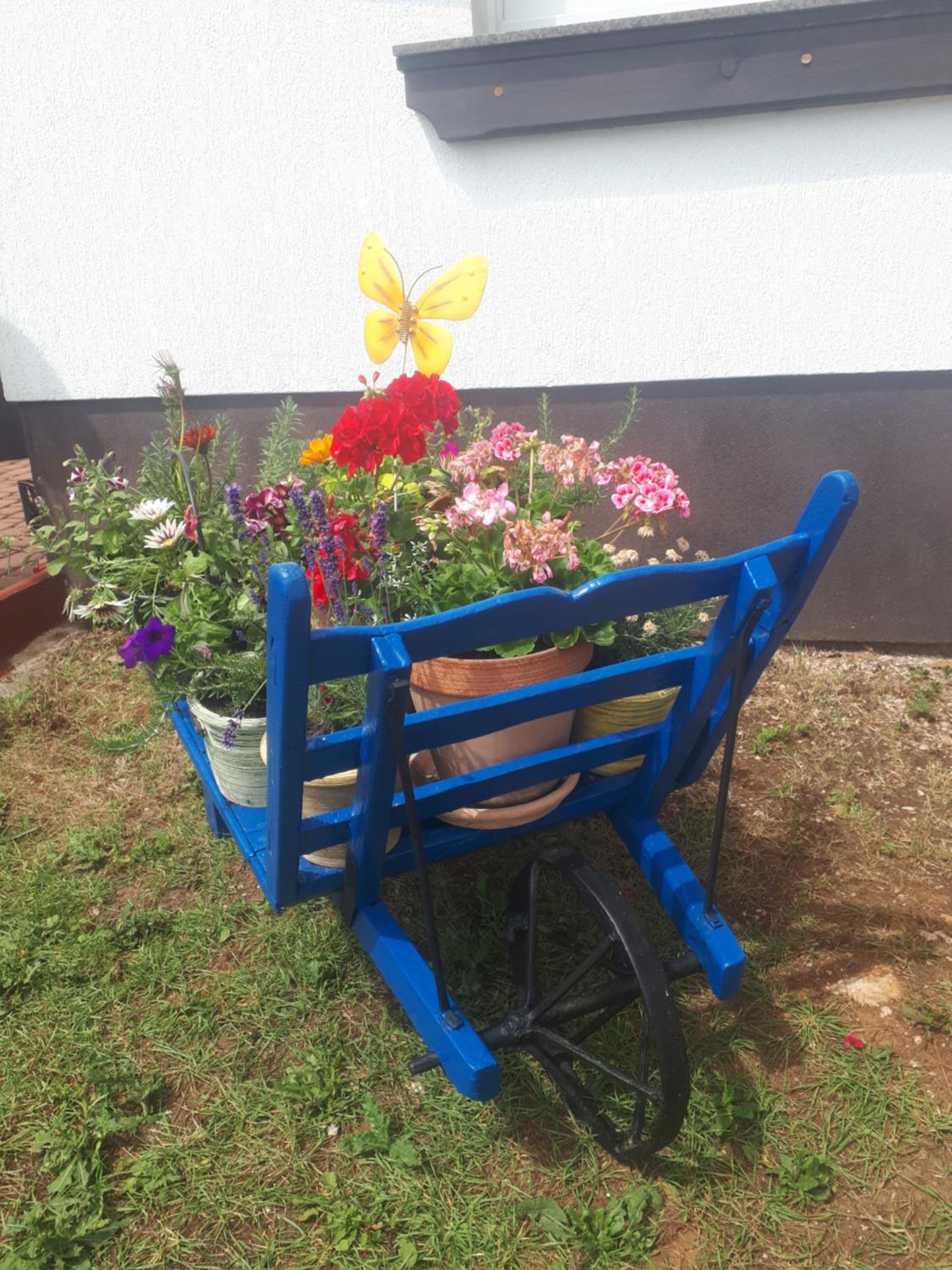 Photo 15
