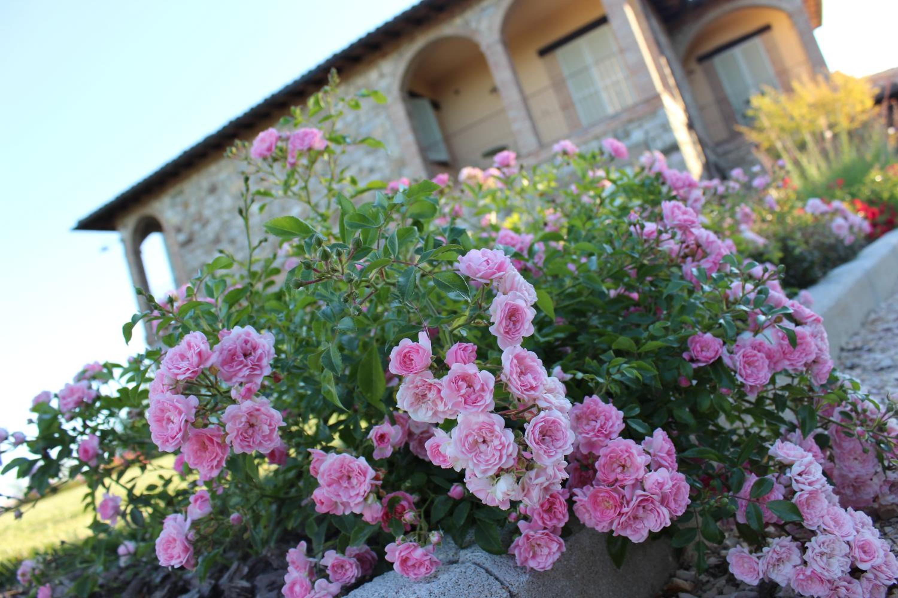 Photo 14