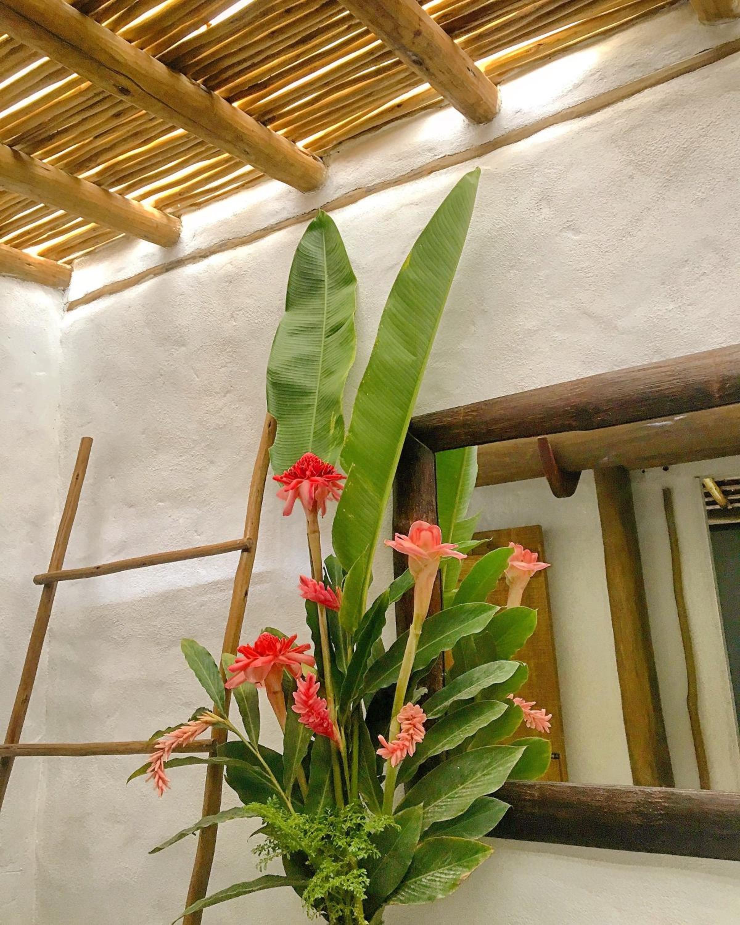ViverTrancoso