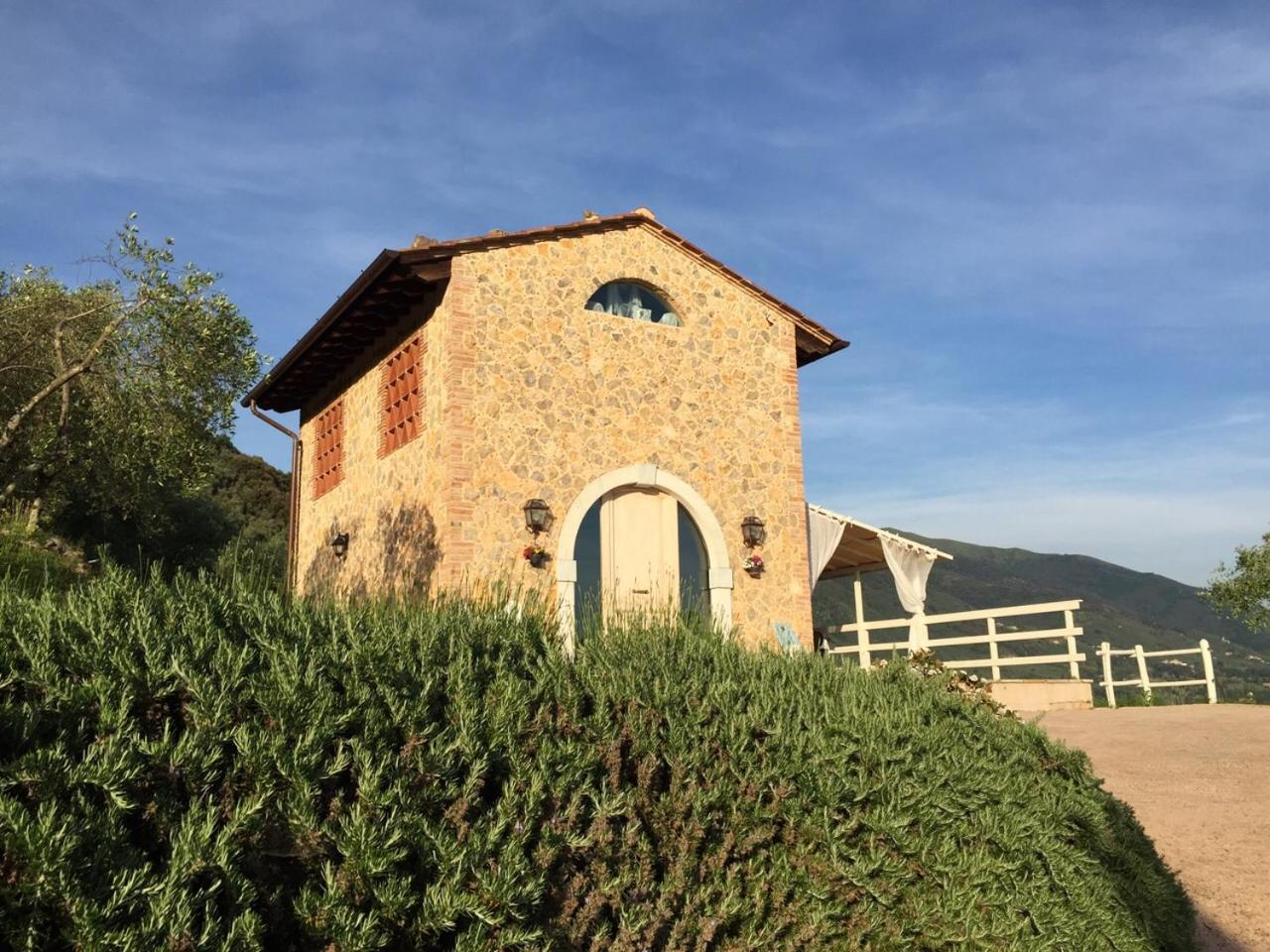 Valuable rustic Tuscan swimming pool, breathtaking view of Camaiore view 4