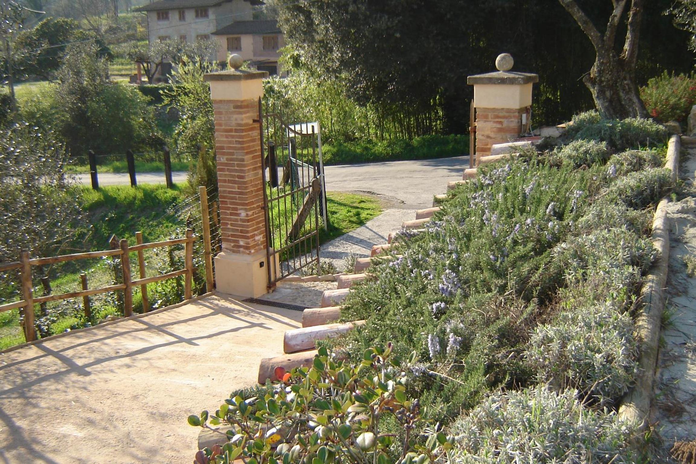 Photo 8