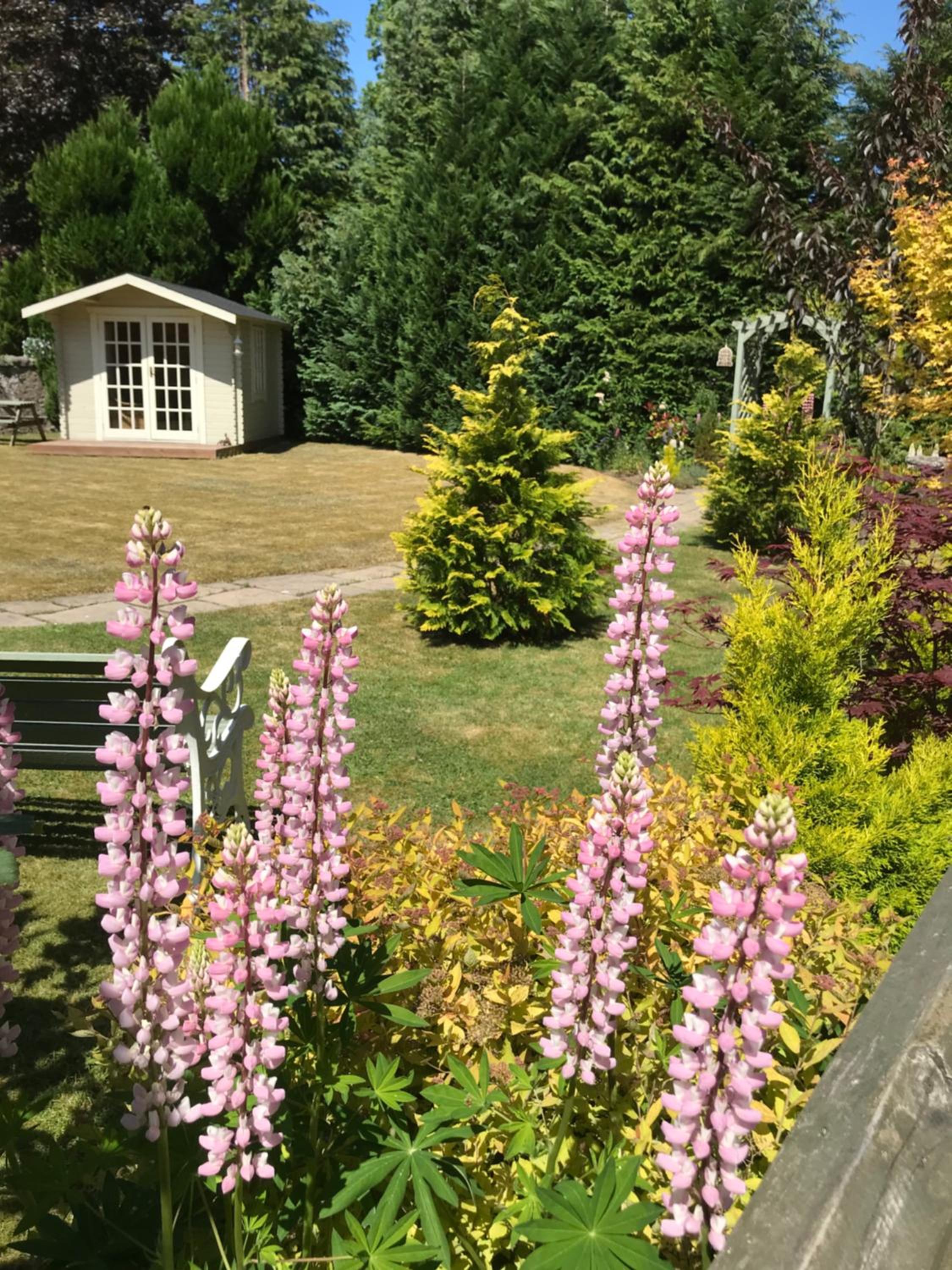 Westwood Cottage view 5
