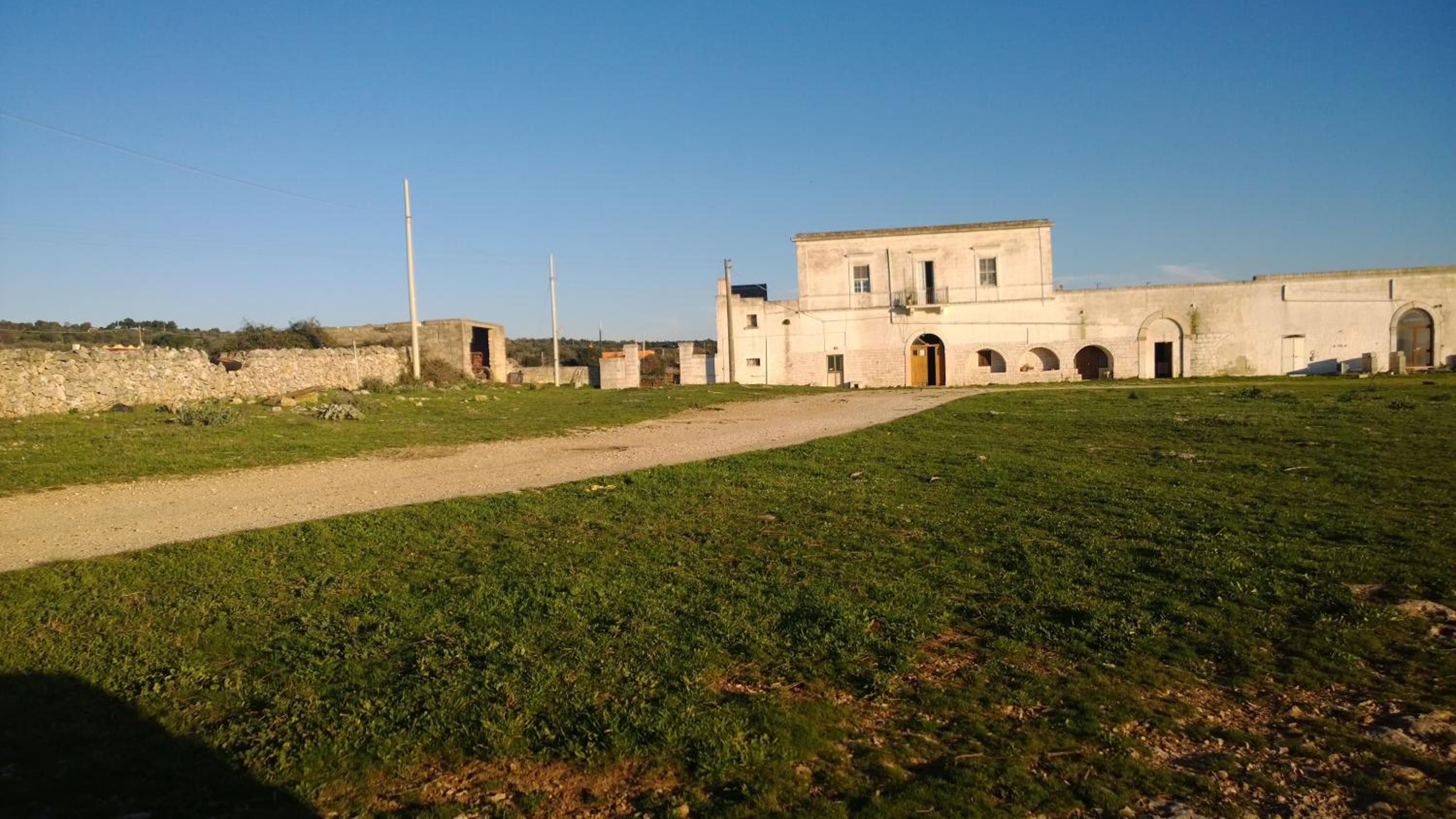 Donna Teresa photo 3