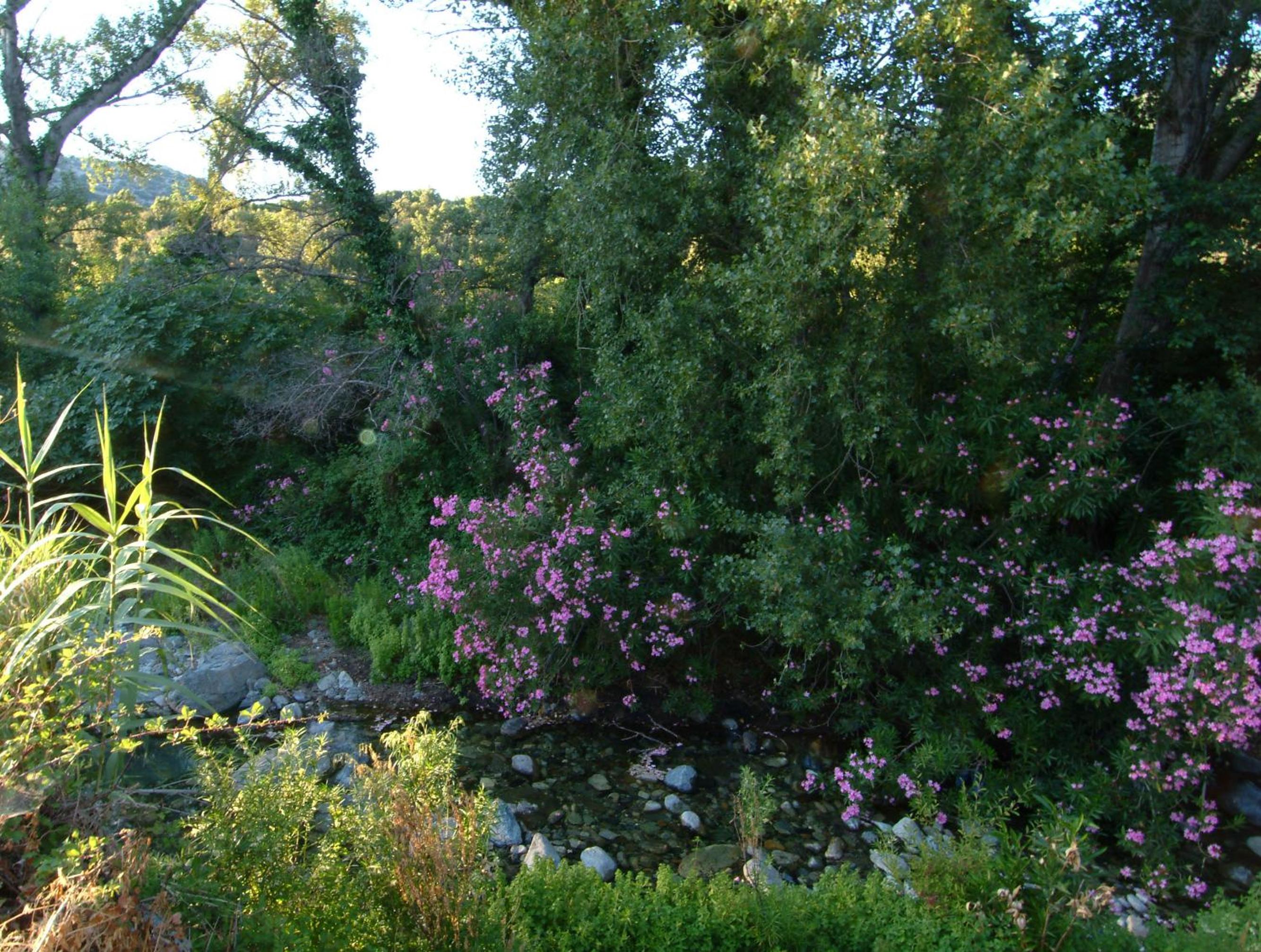 Photo 44