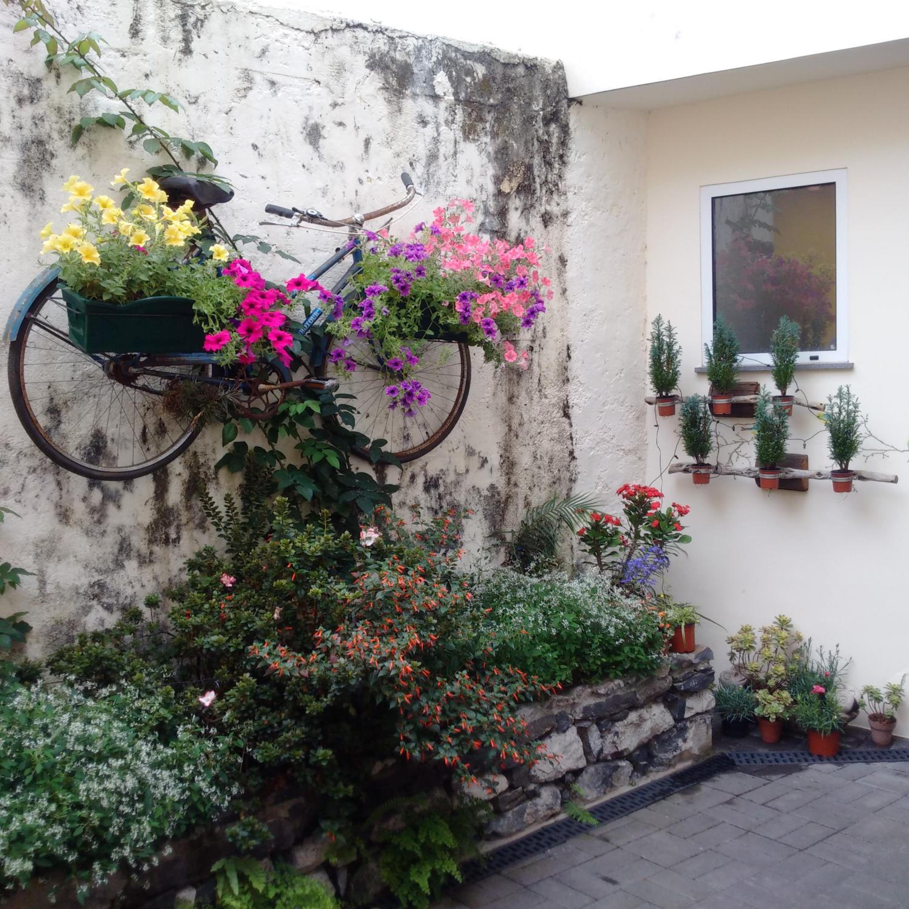 Photo 14