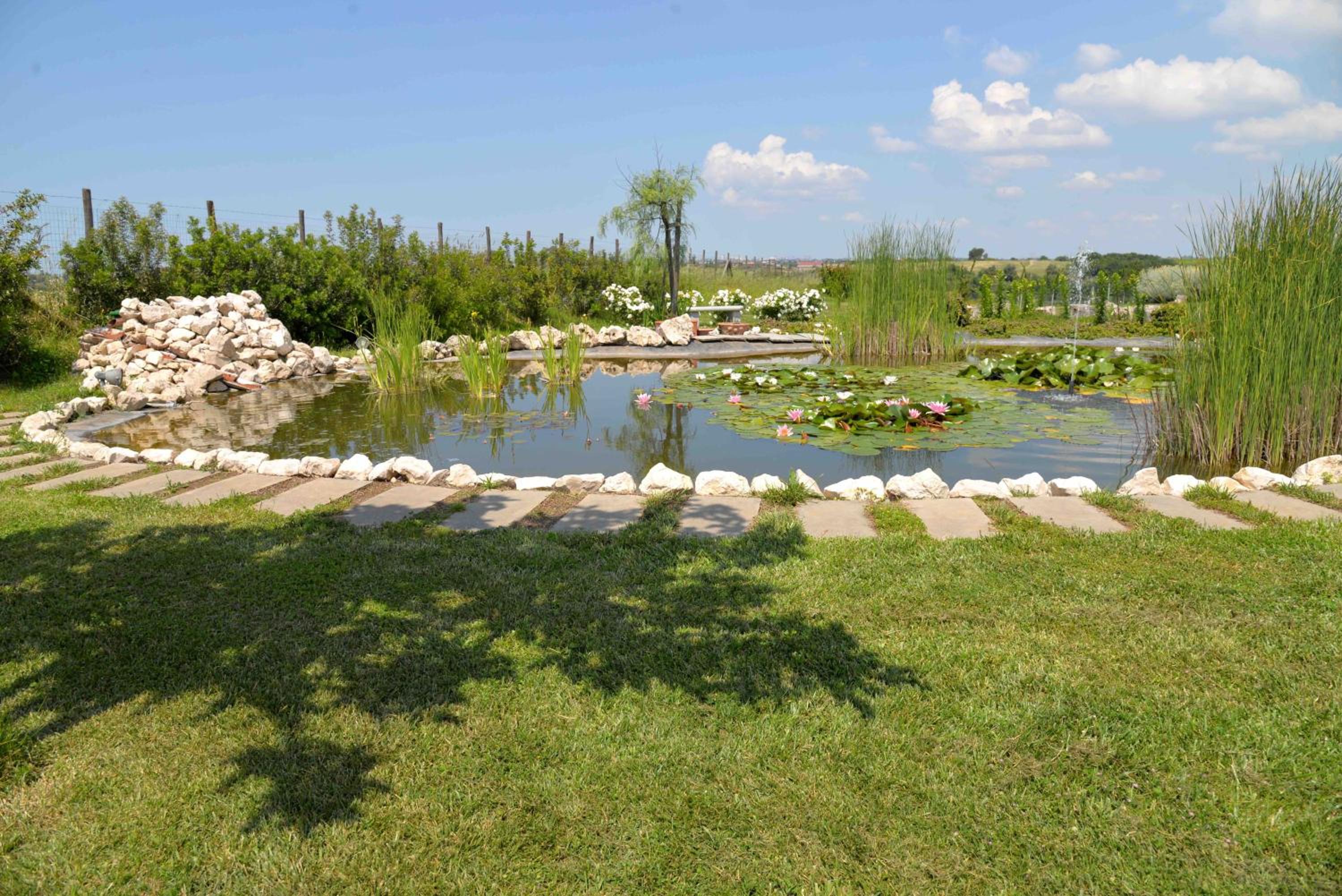 La collina delle fonti
