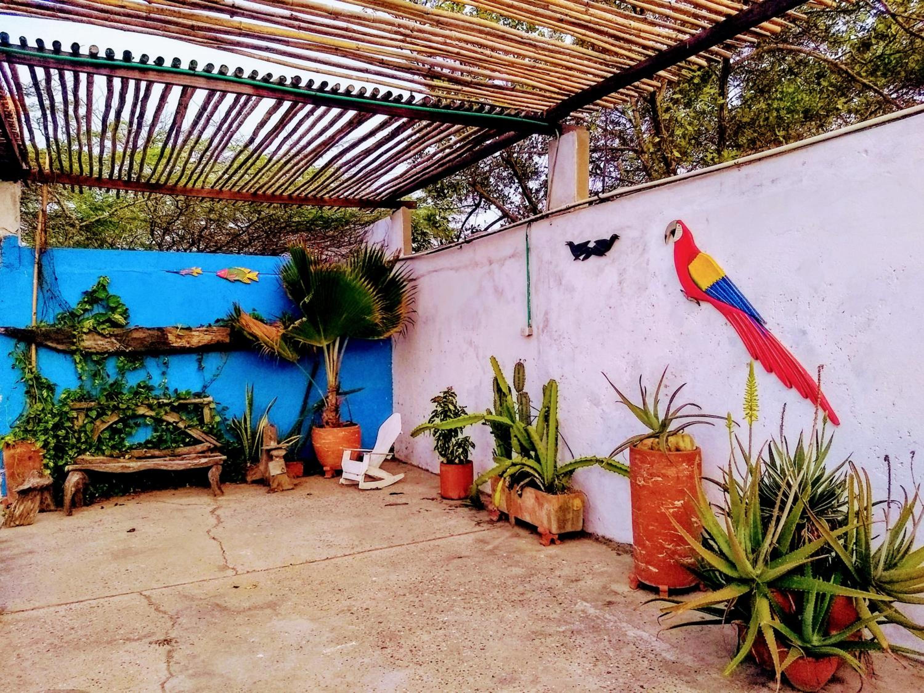 Galerazambahostal
