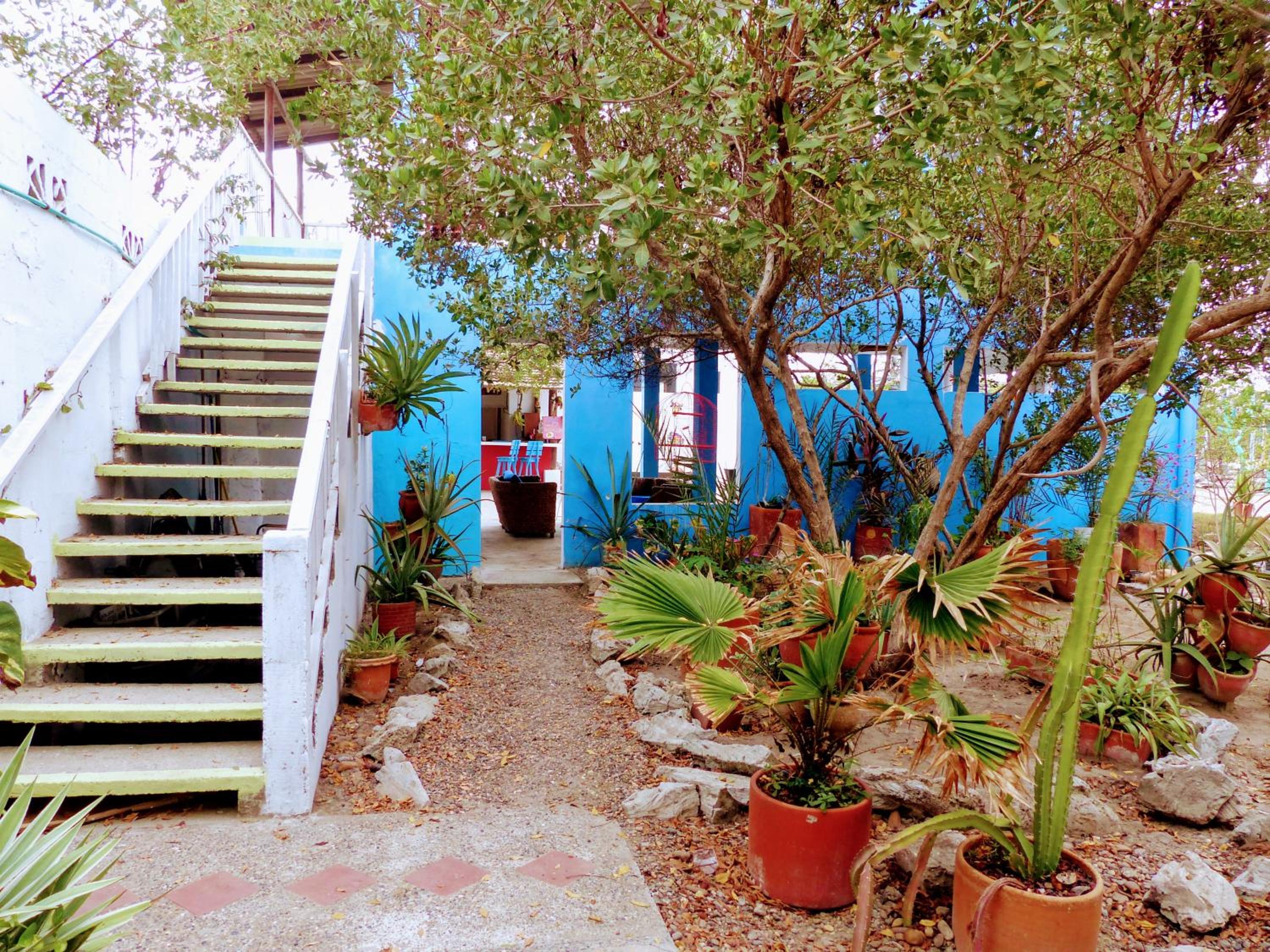 Galerazambahostal