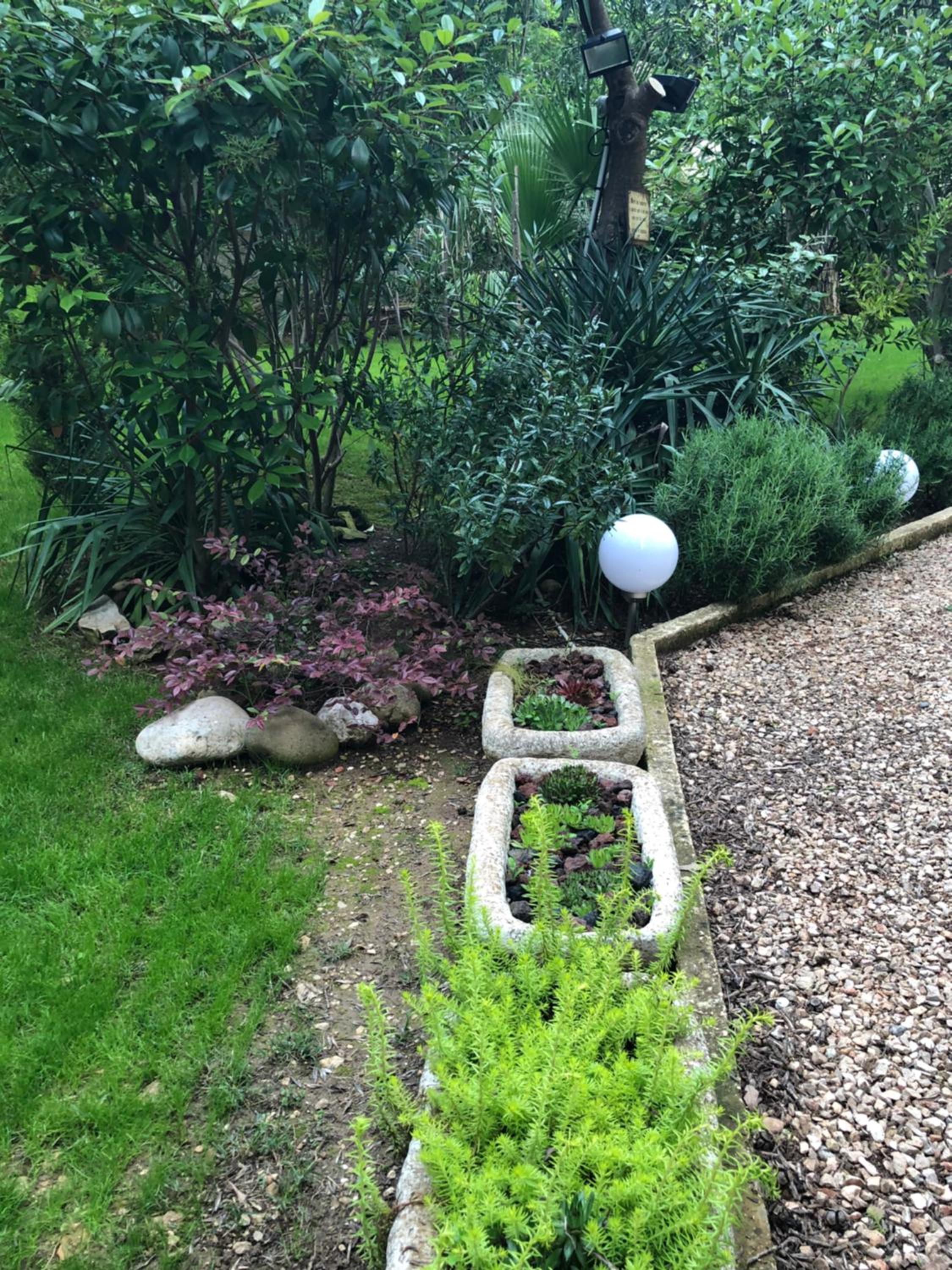 garden