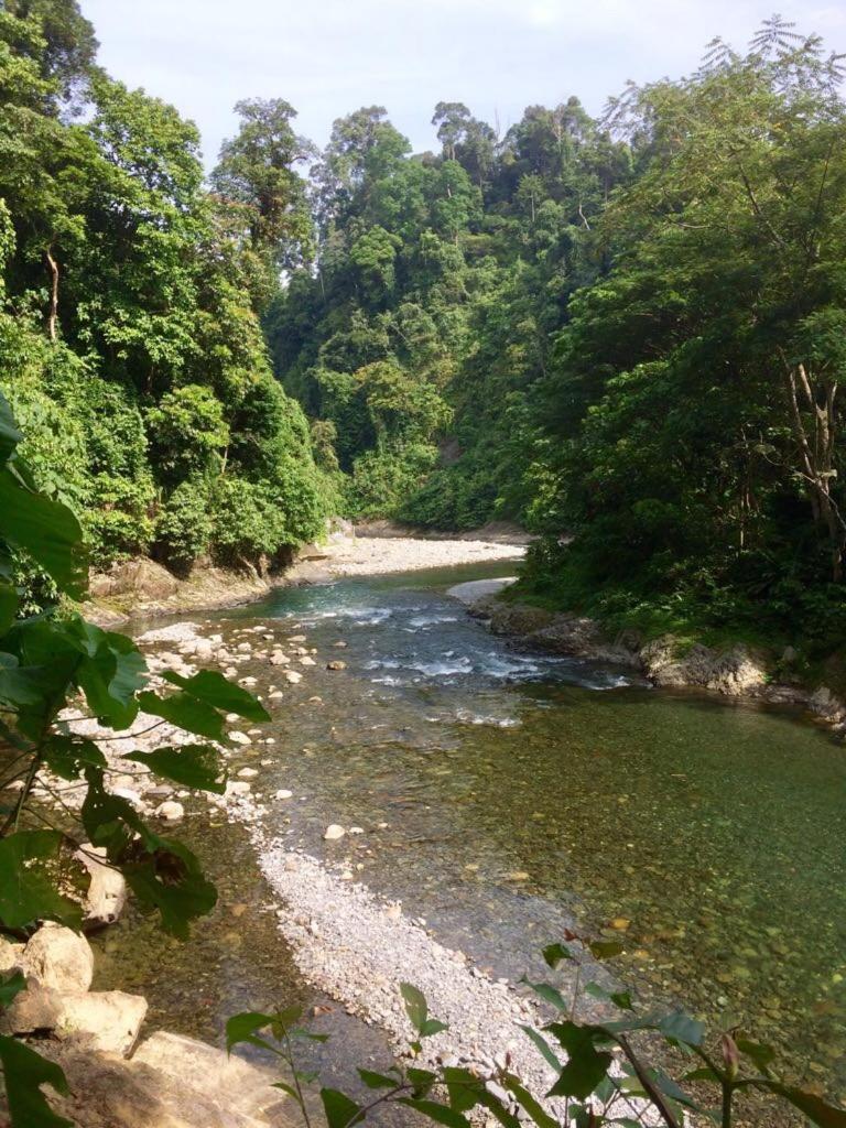 Indra Valley Inn Bukit Lawang