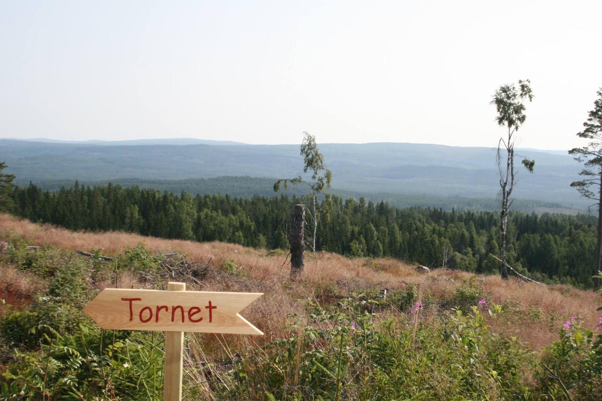 Mieps Huset Dalarna Holiday view 3