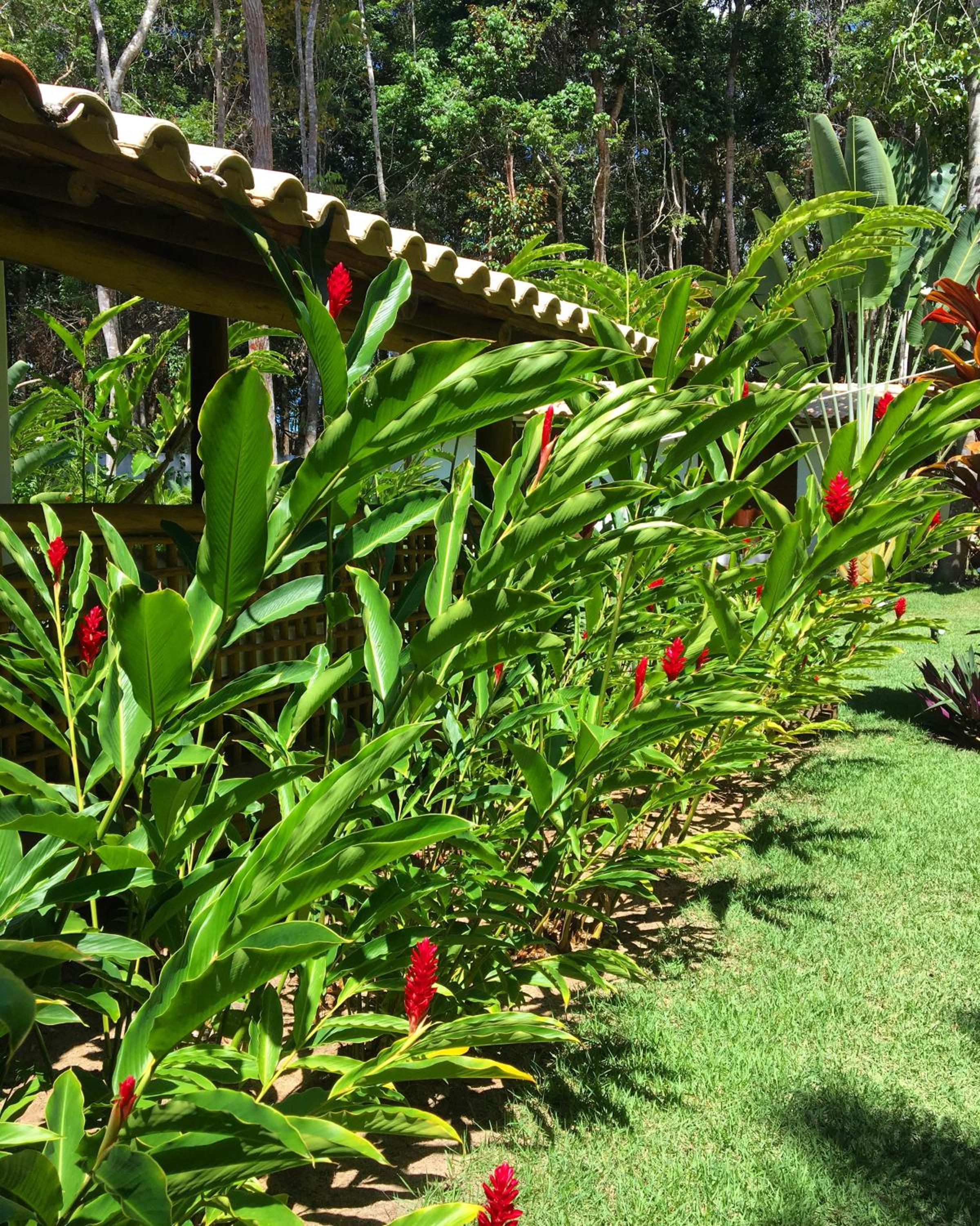 ViverTrancoso