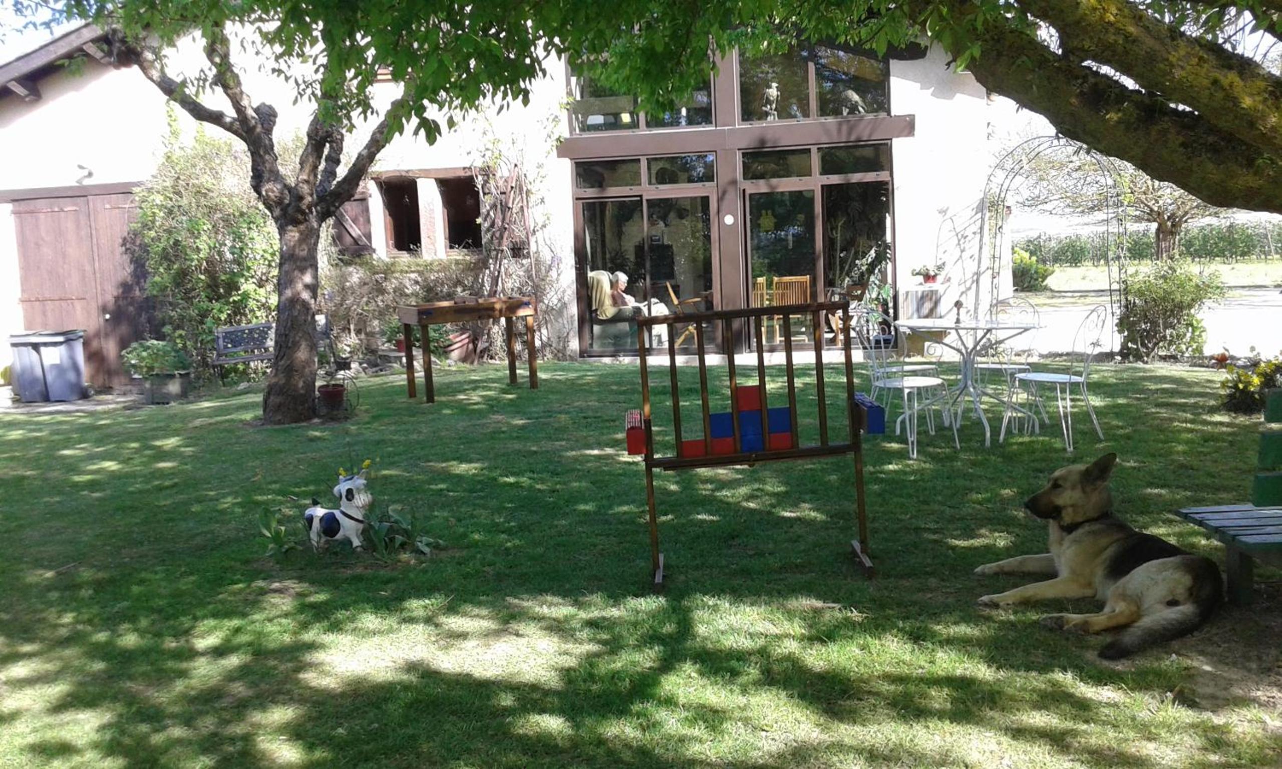 Photo 6