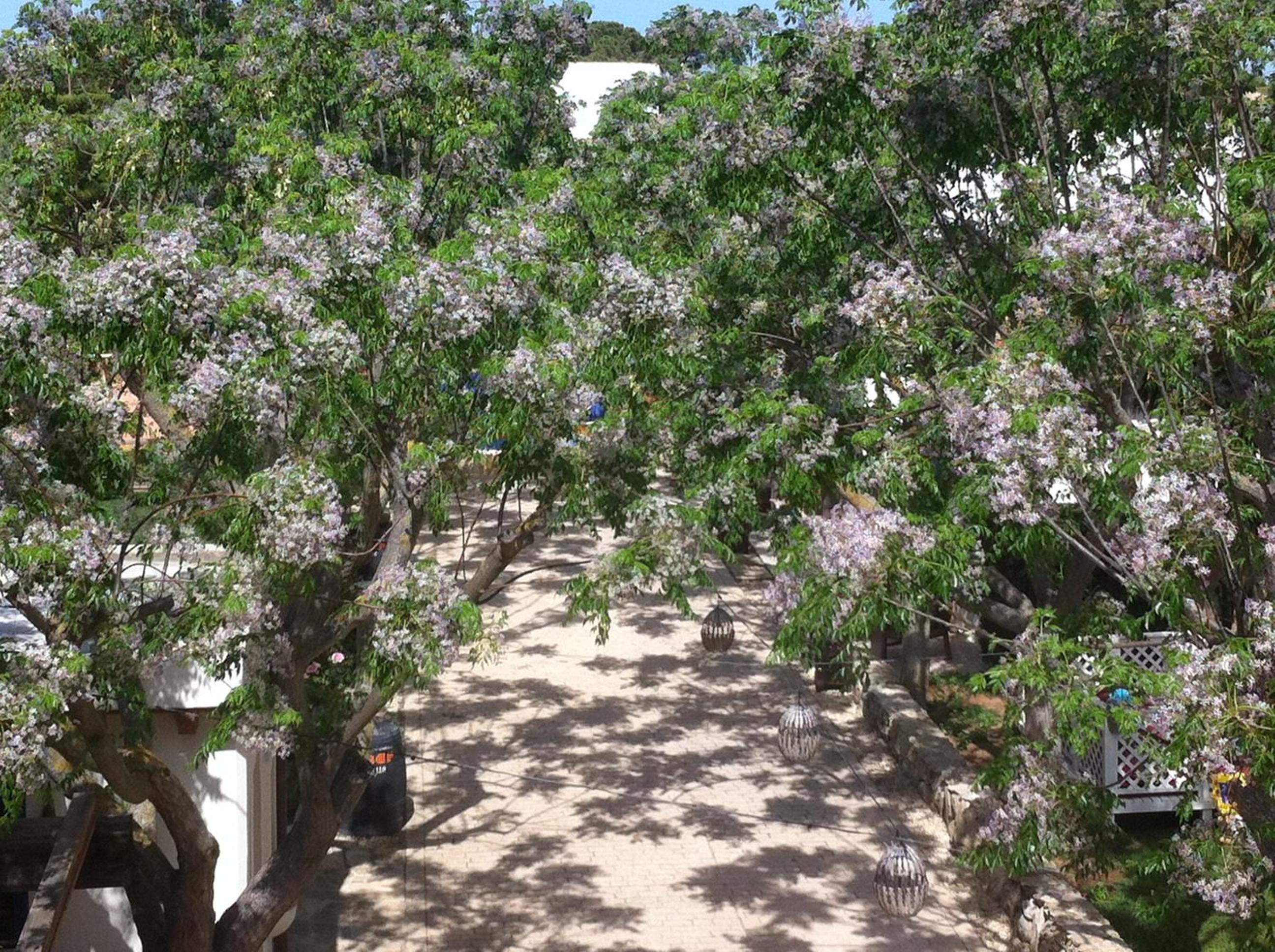 Paraiso Perdido
