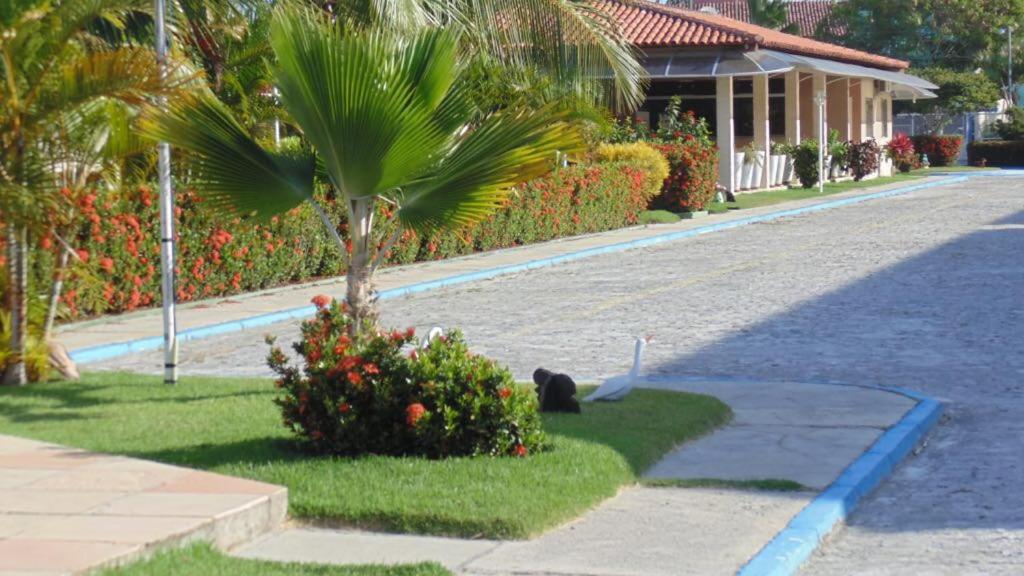 Apartamento Praia Taperapuan