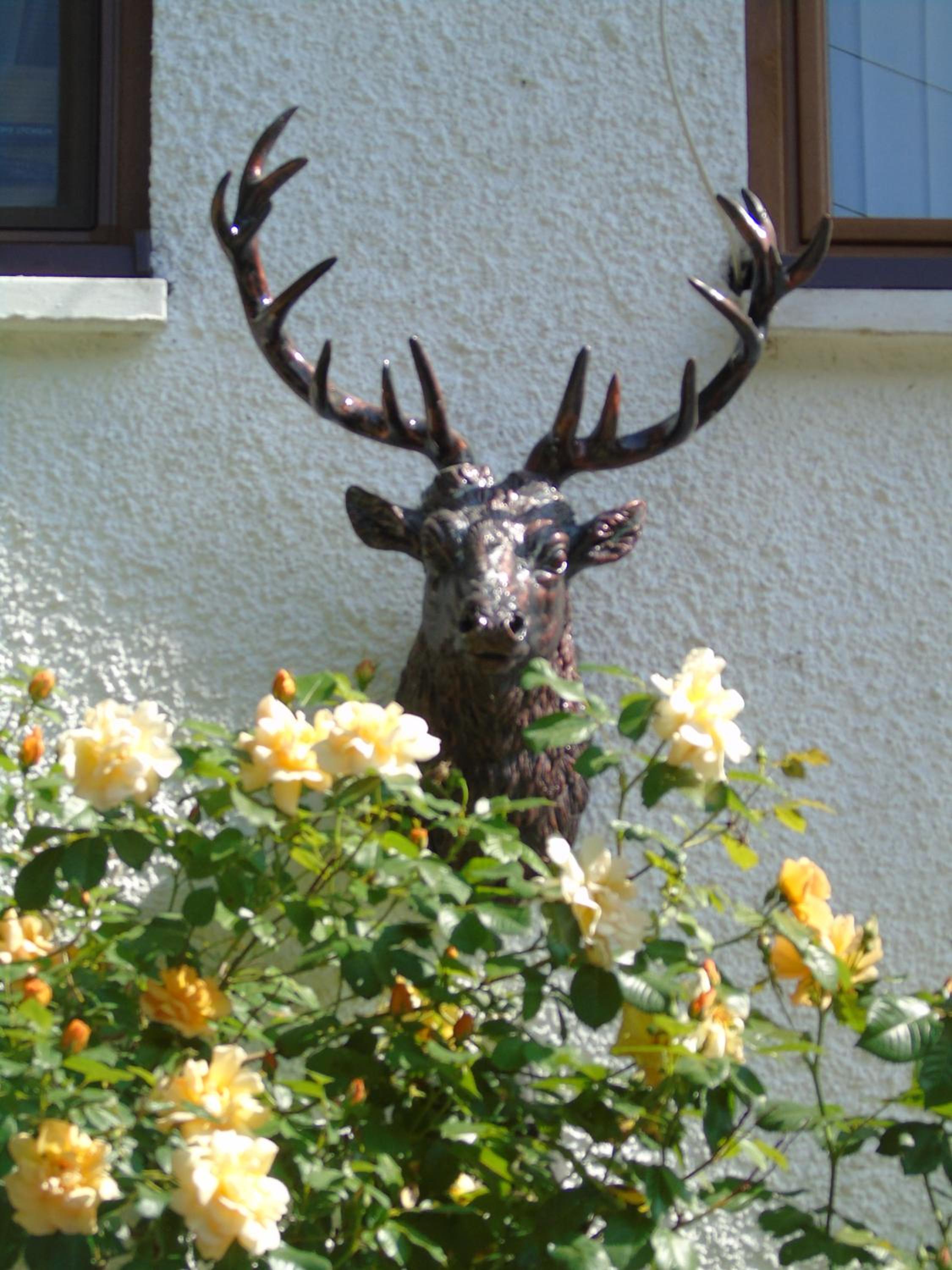Craik Na Dav B&B