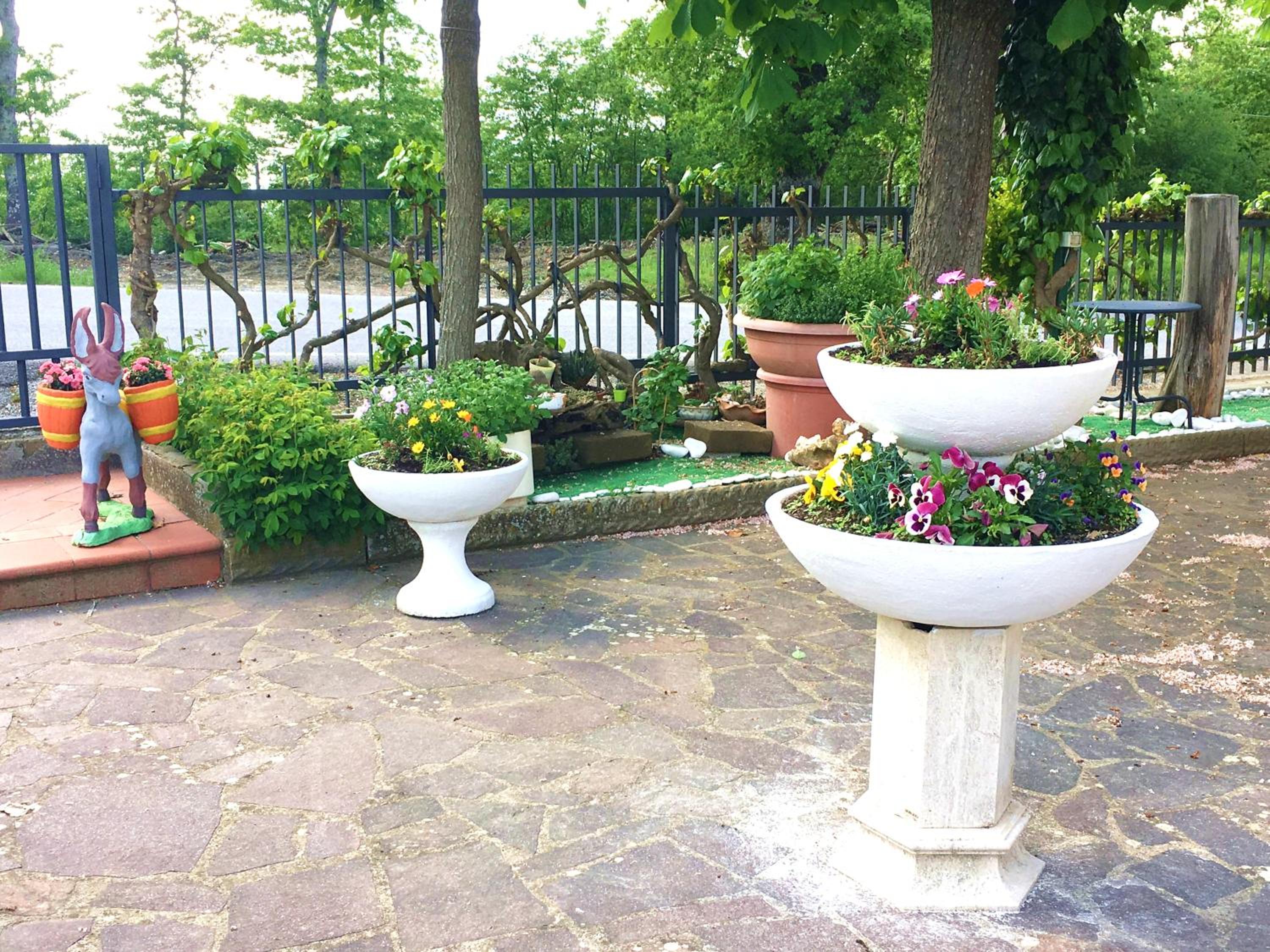 Photo 41