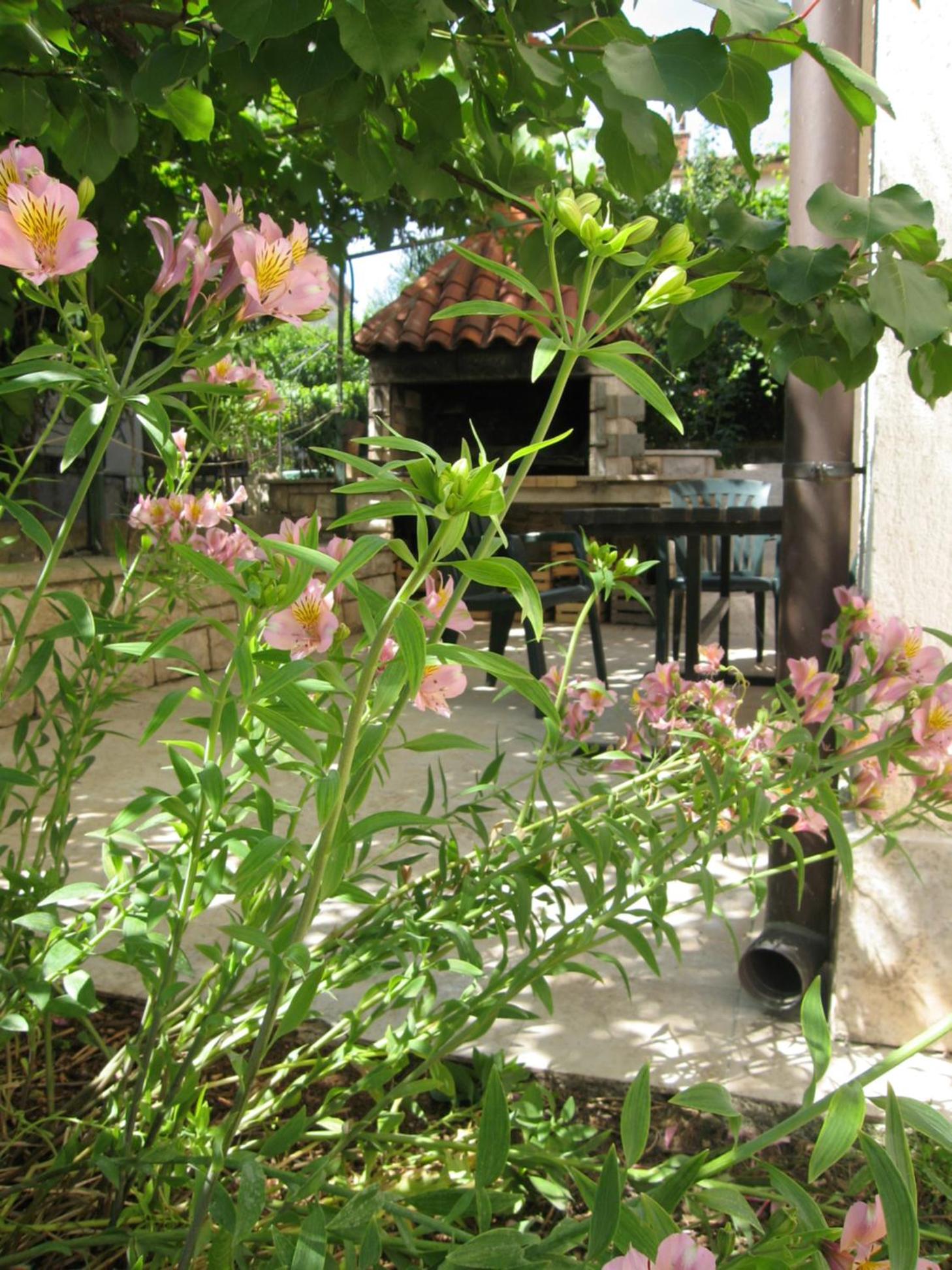 Photo 27