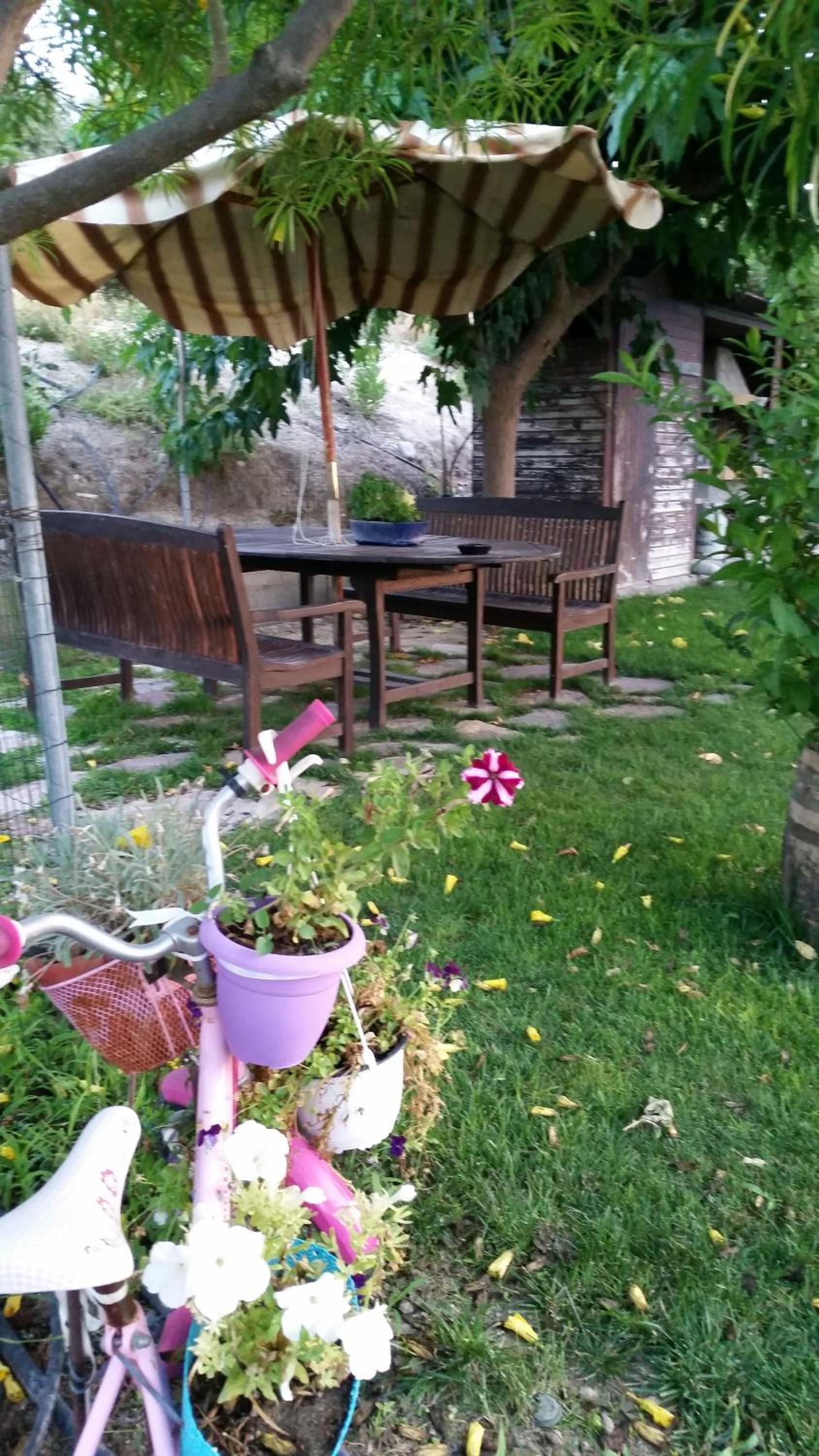 Photo 38