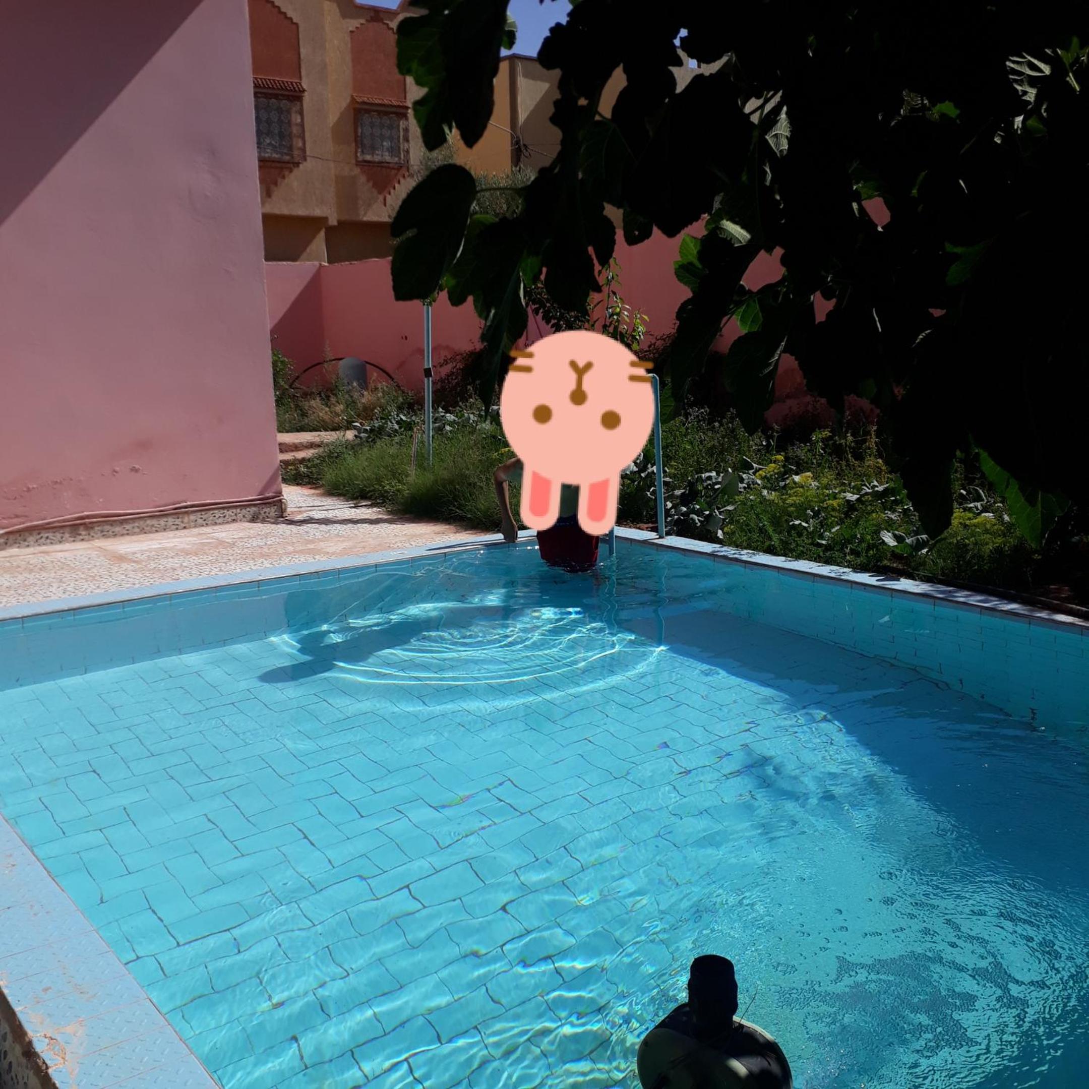 Oasispalmares view 5