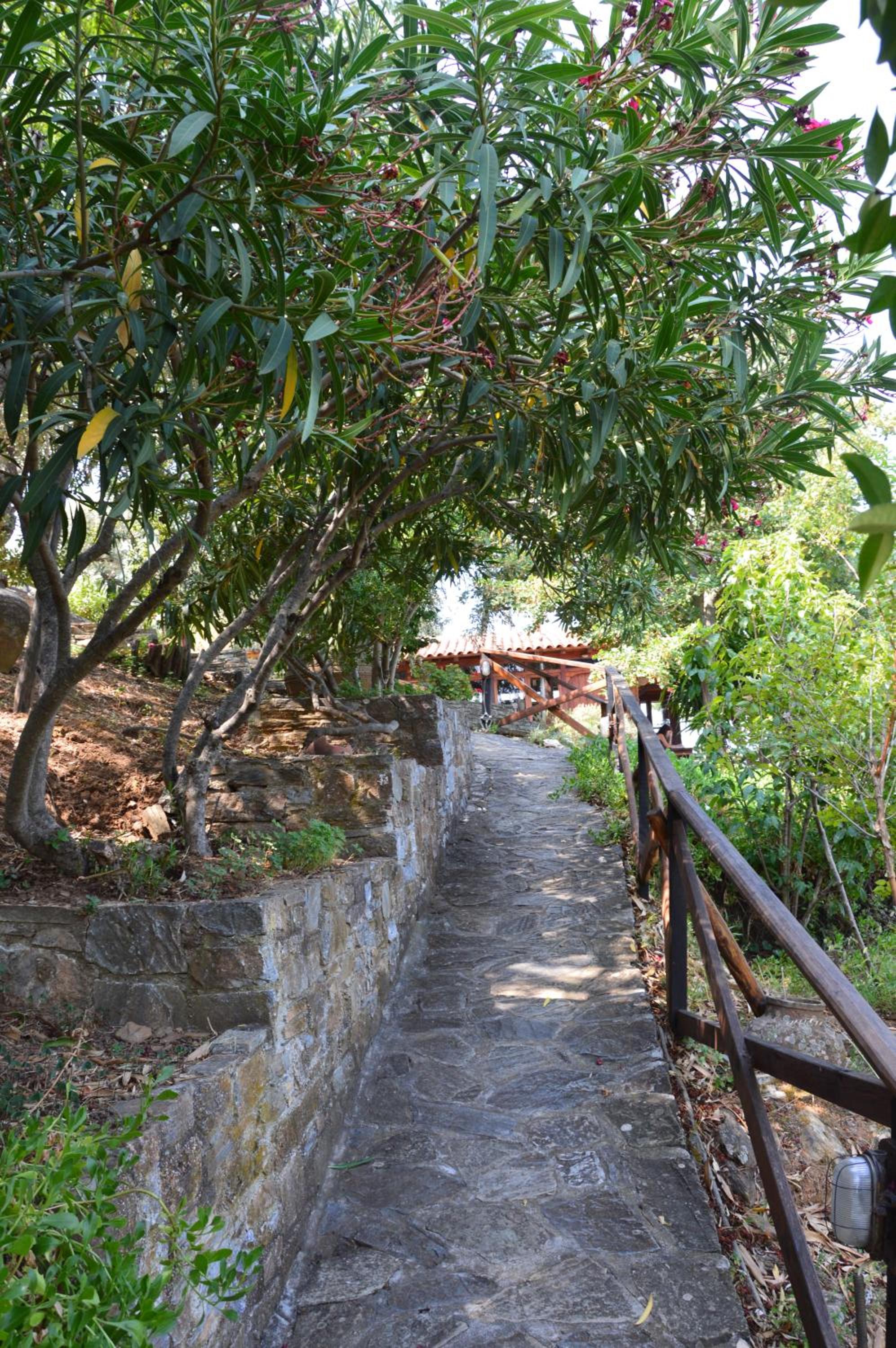 Photo 6