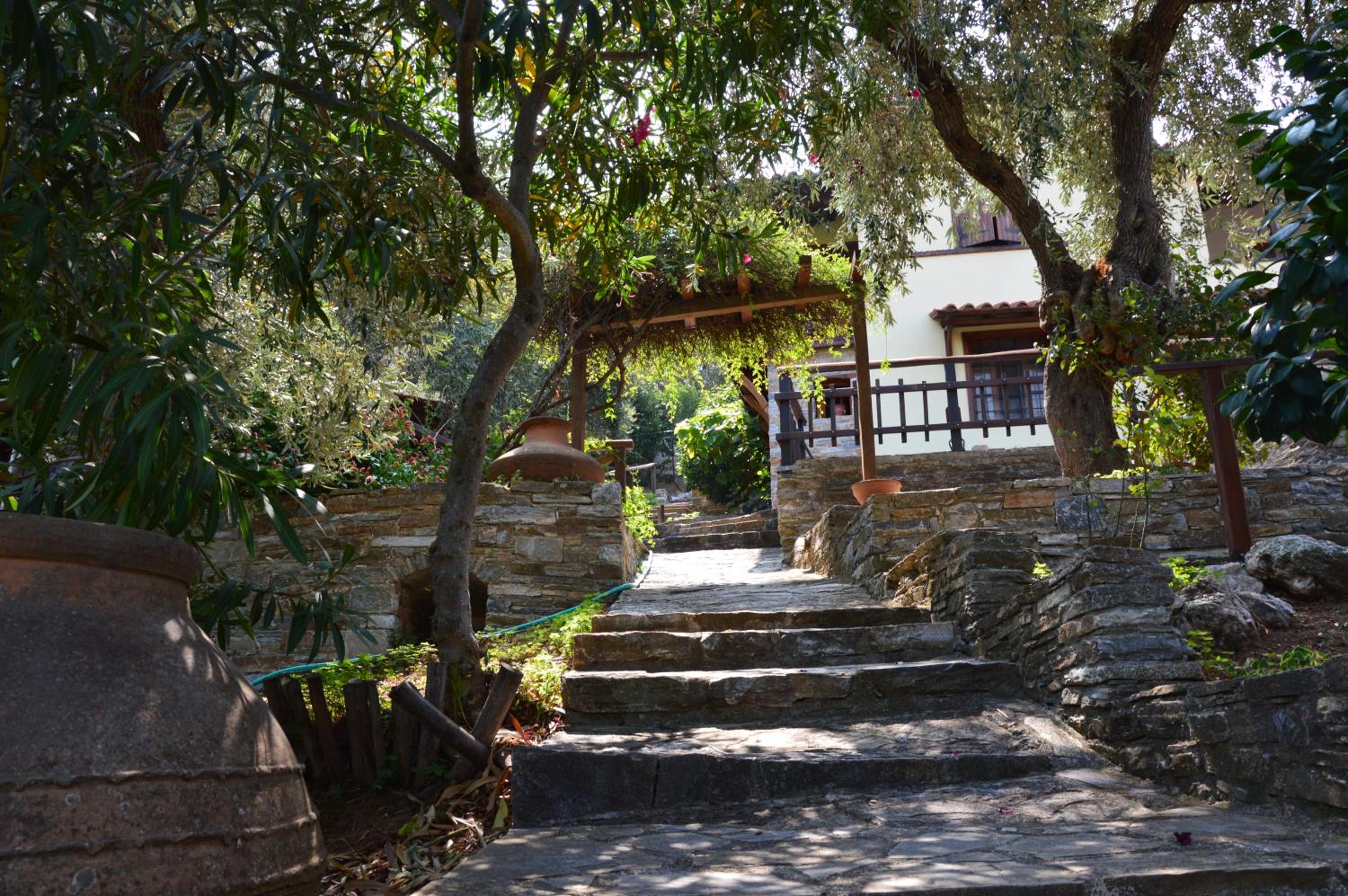 Guesthouse Apanemia view 5