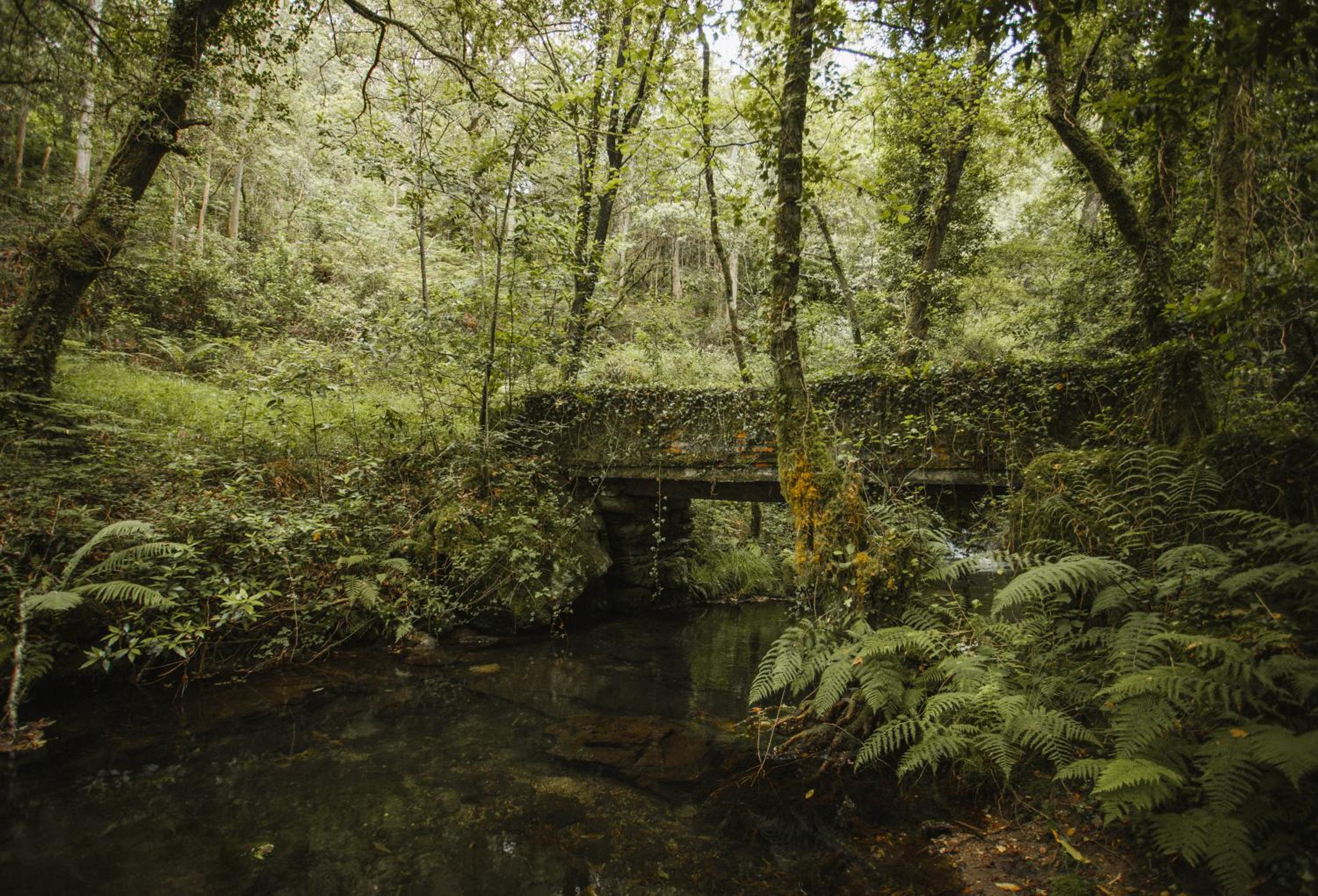 Photo 42