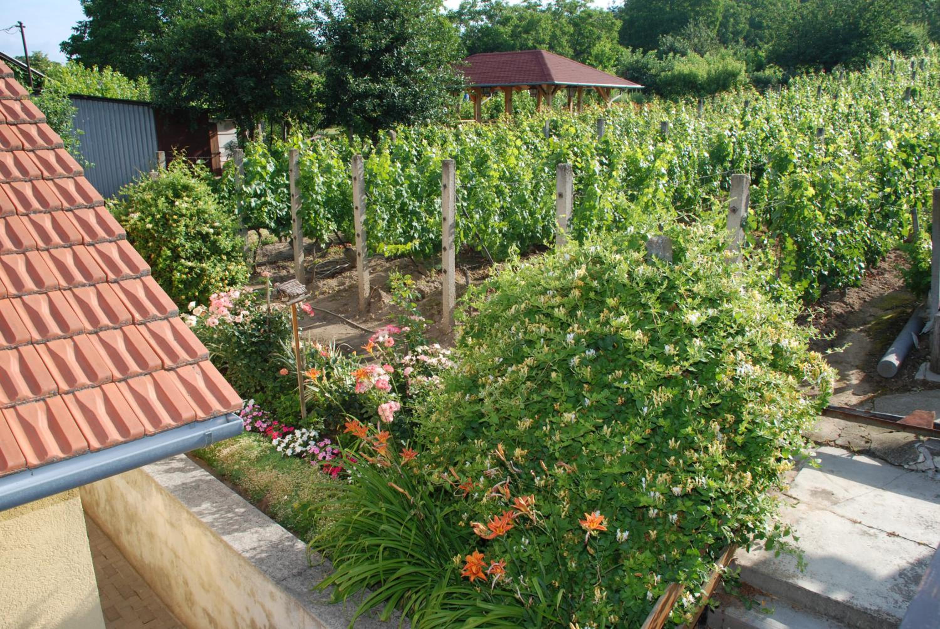 Panoráma Apartmanház view 4
