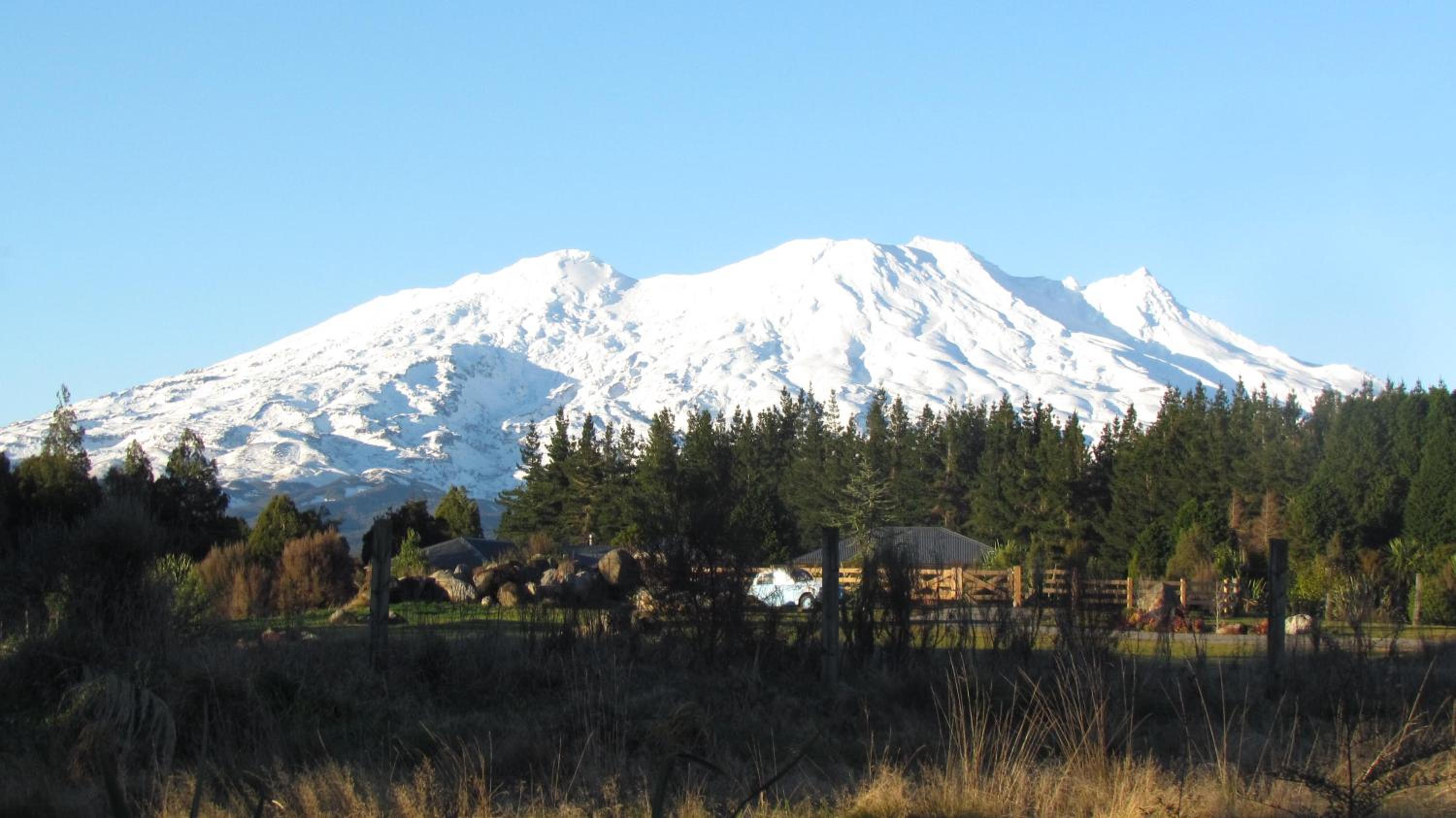Tongariro Suites