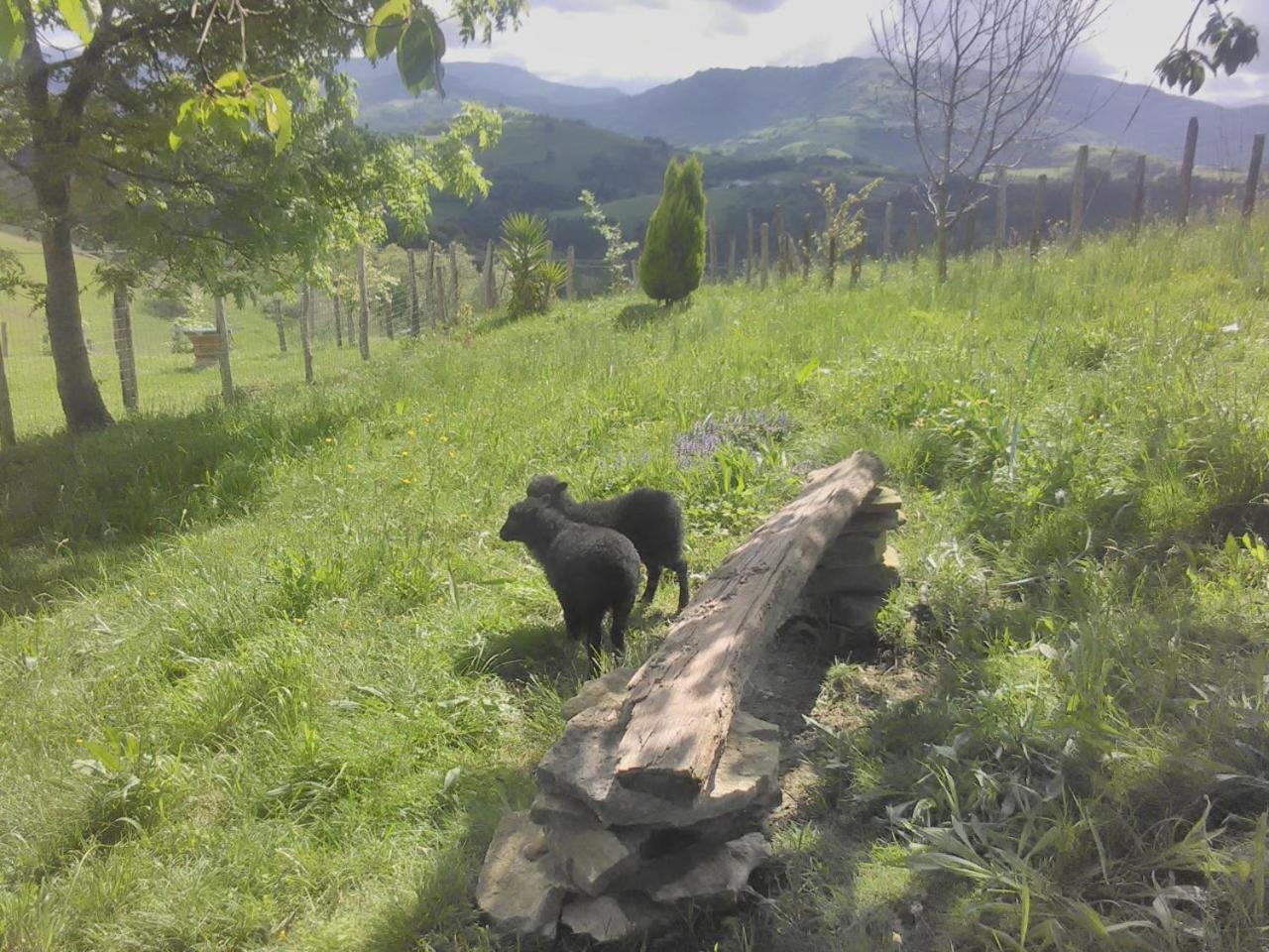 Agroturismo Pagoederraga