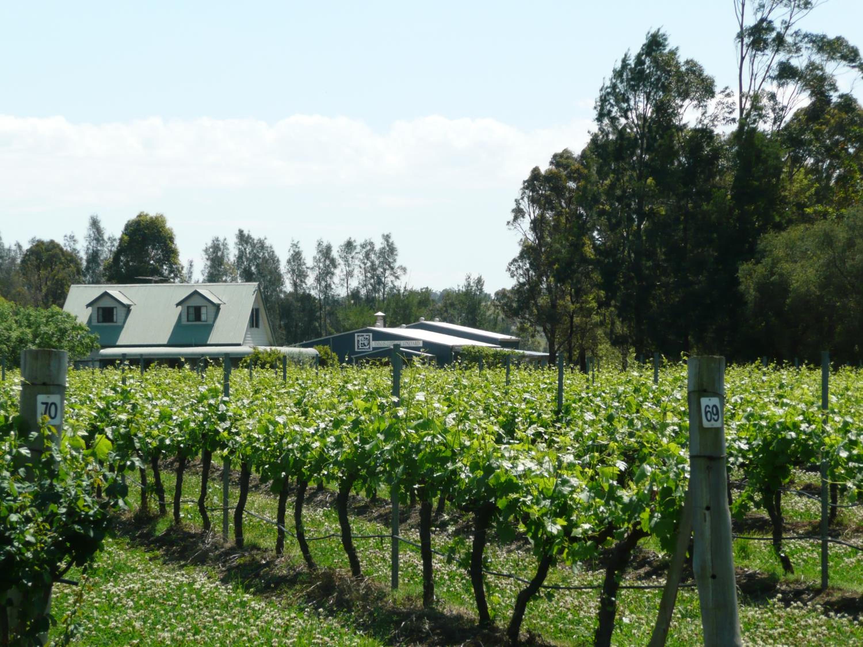 Emma's Cottage Vineyard