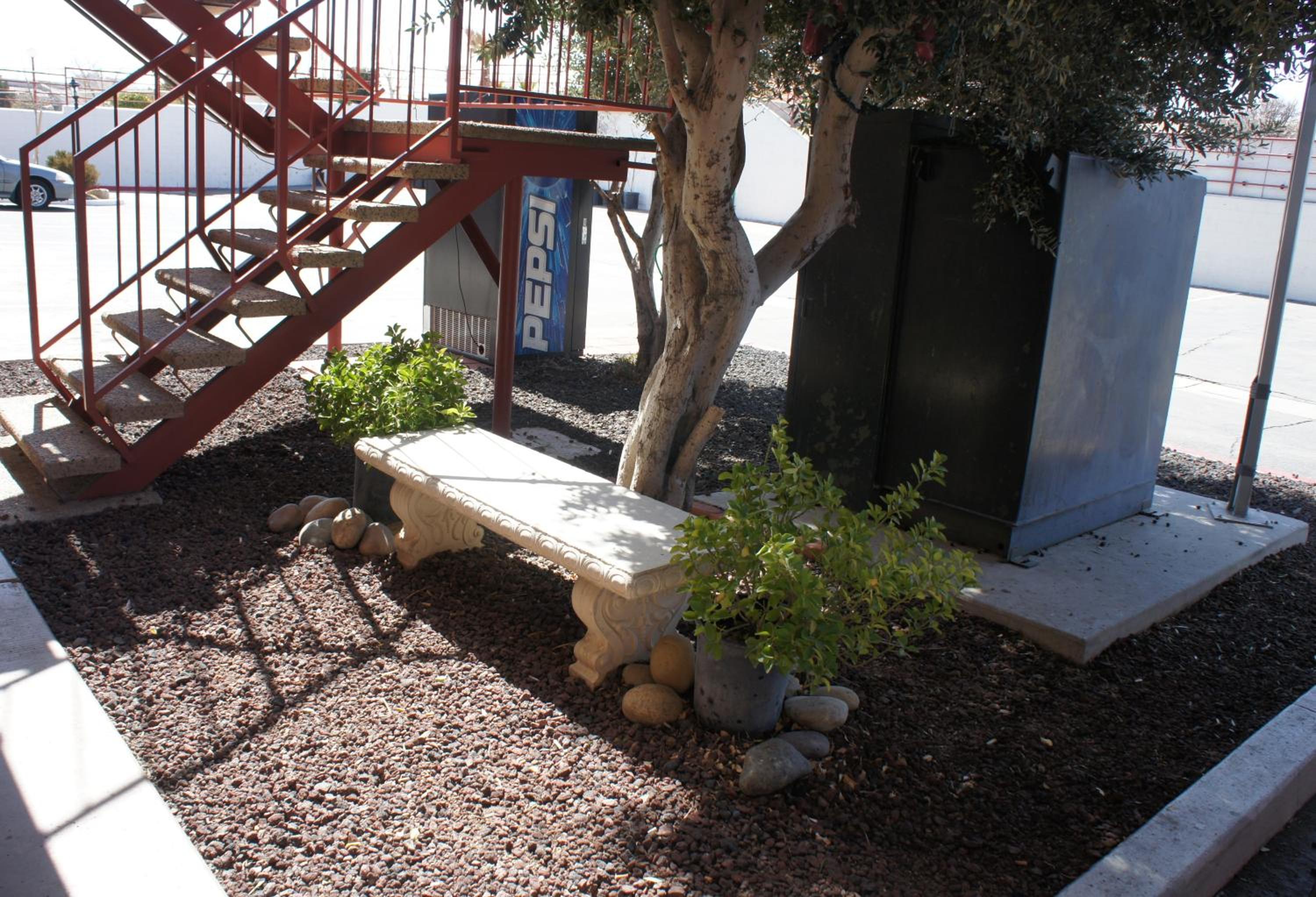 Photo 21