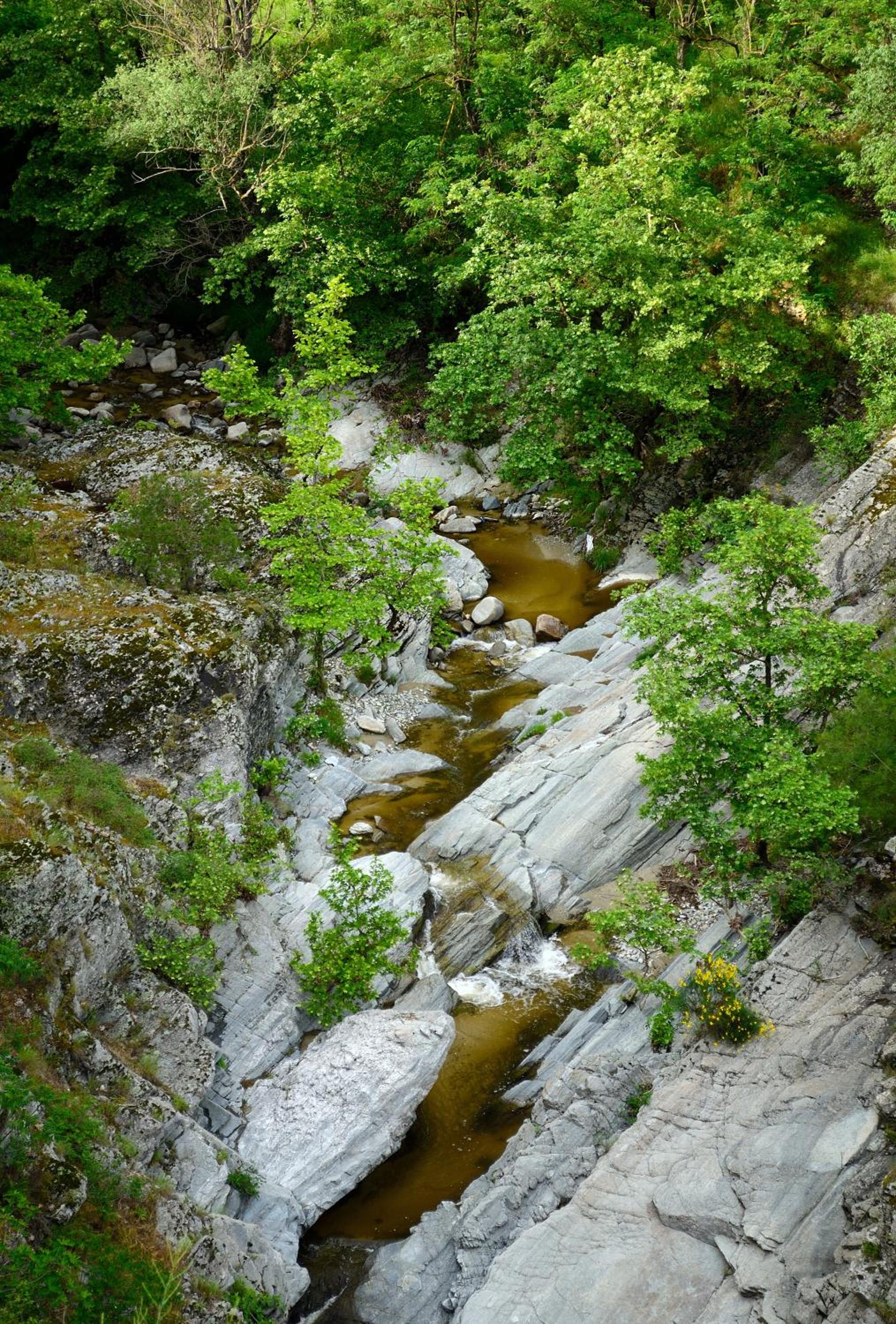 Photo 27