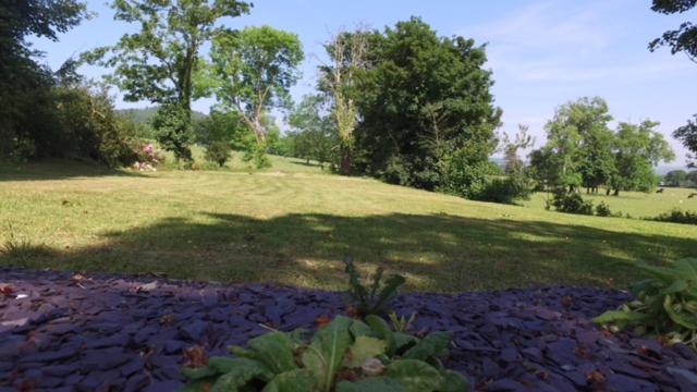 Plas Y Dderwen Bed and Breakfast