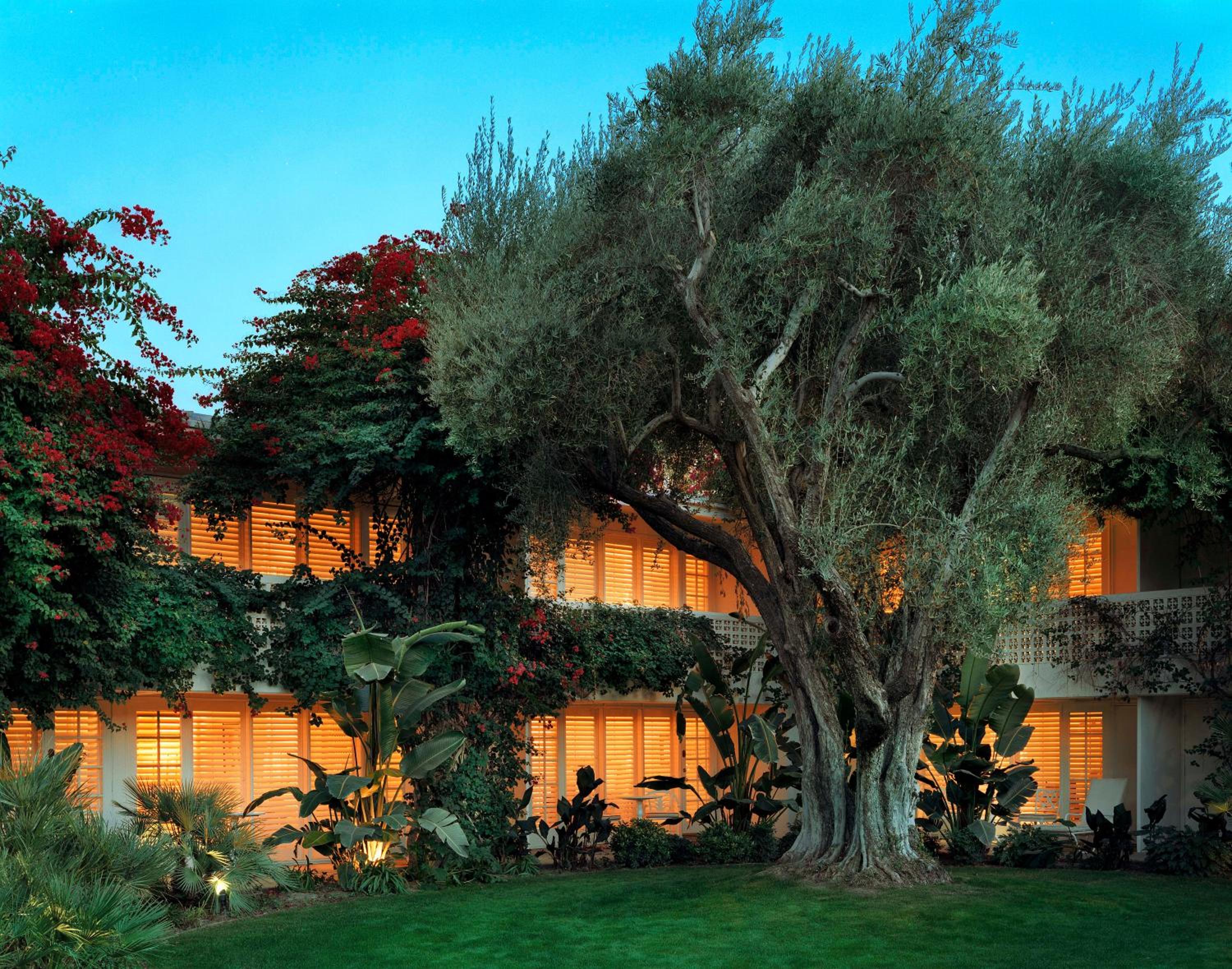 Parker Palm Springs, 写真 26