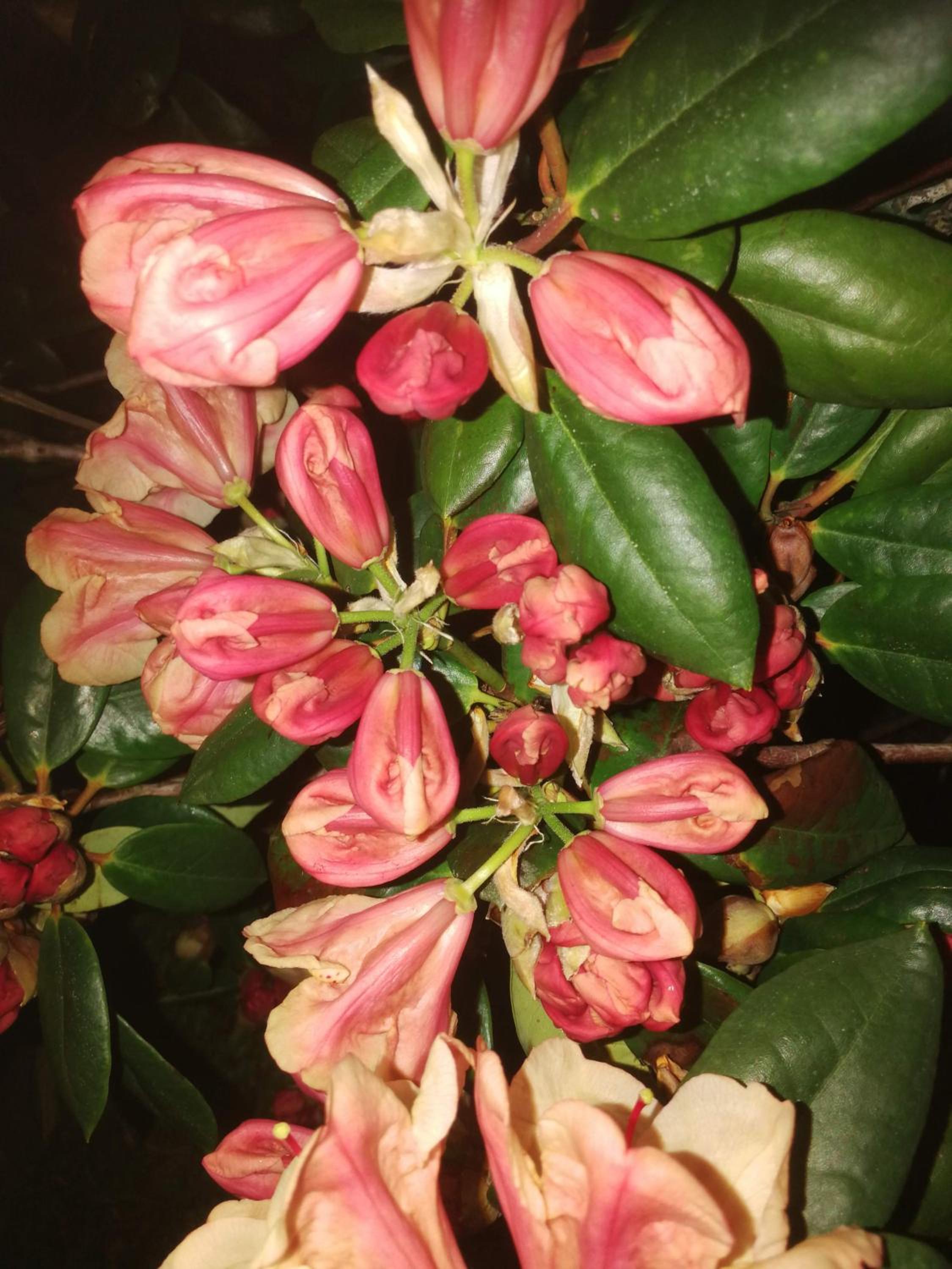 Photo 45