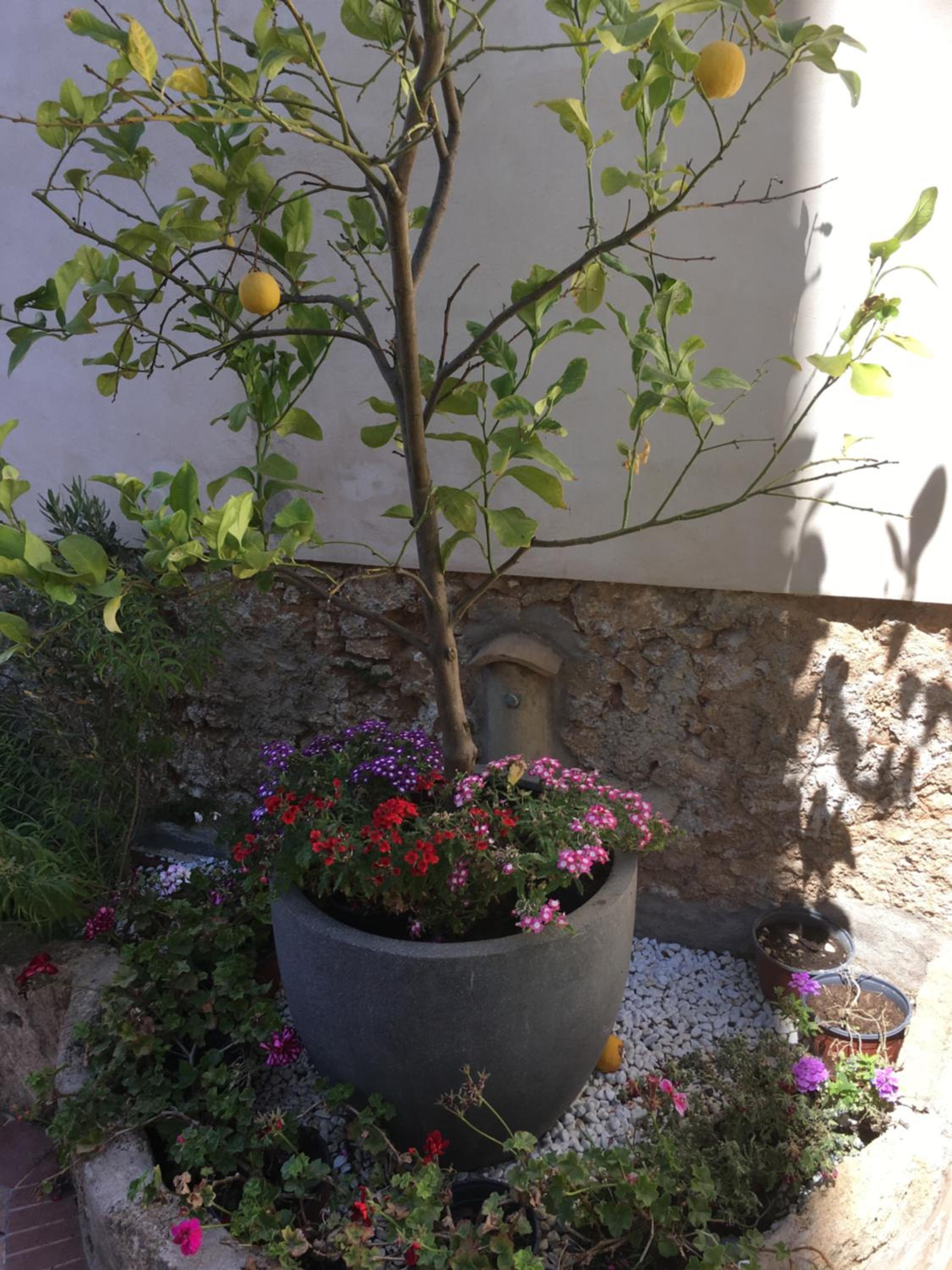 Photo 10