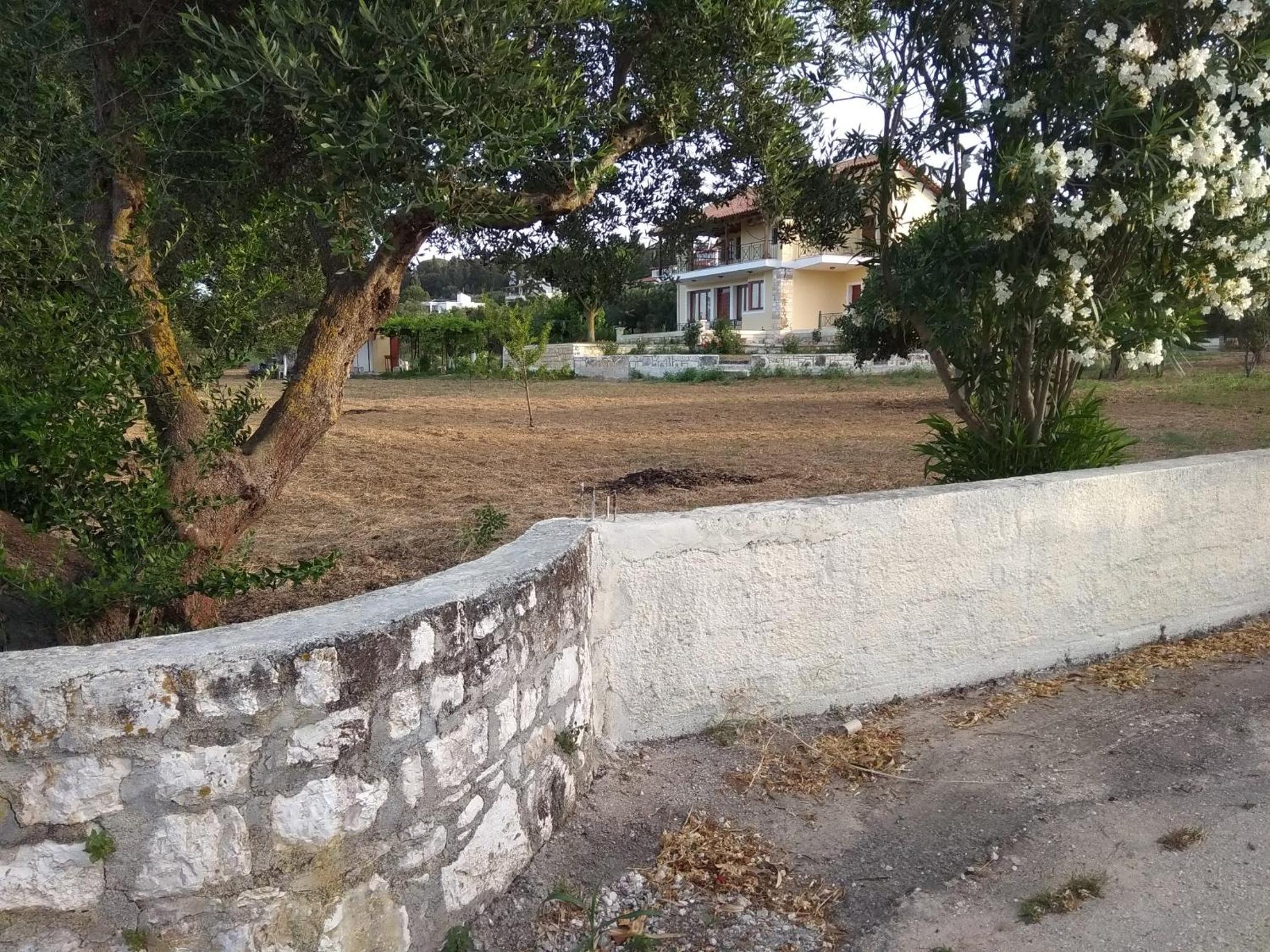 Photo 46