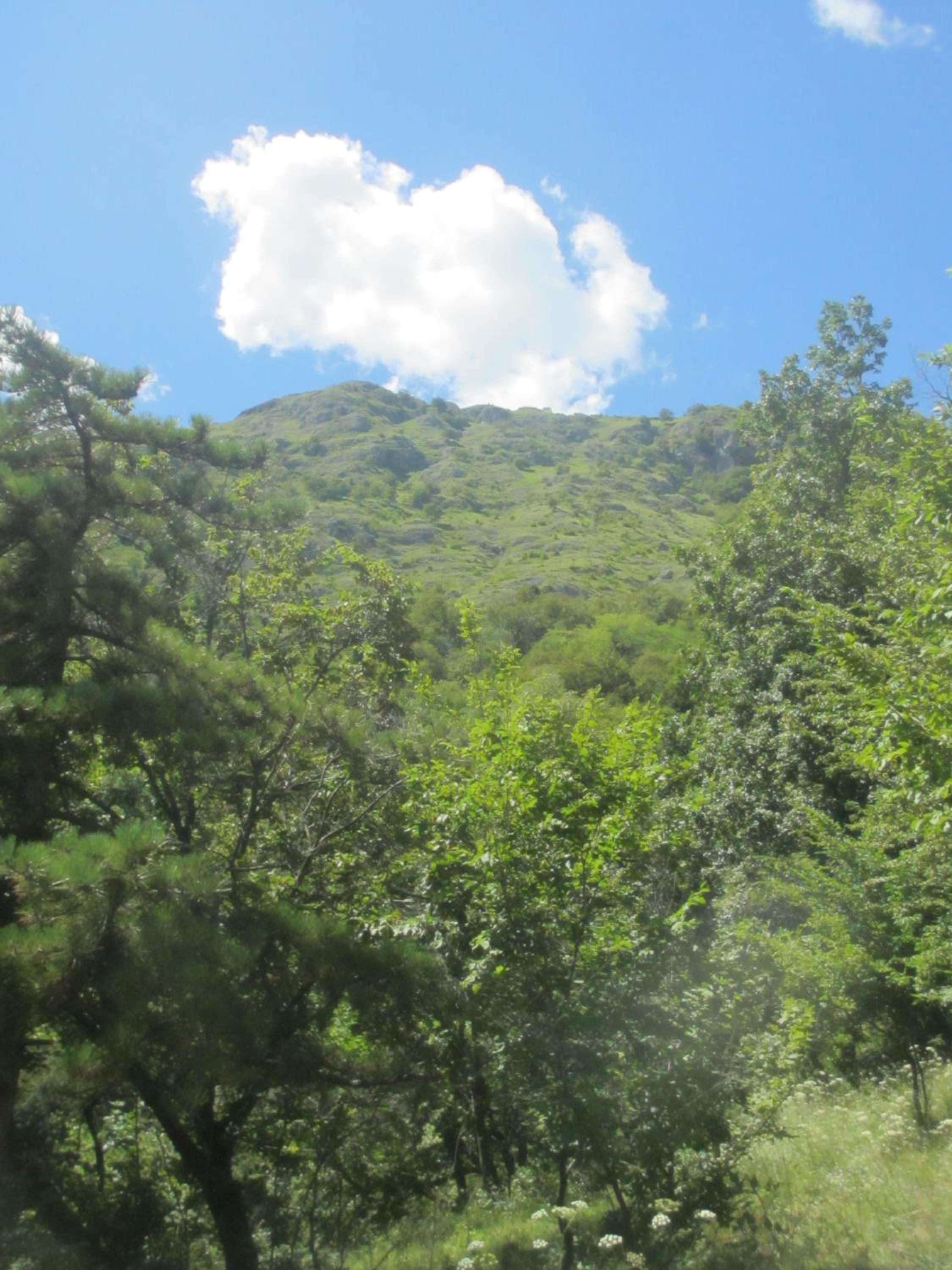 Photo 42