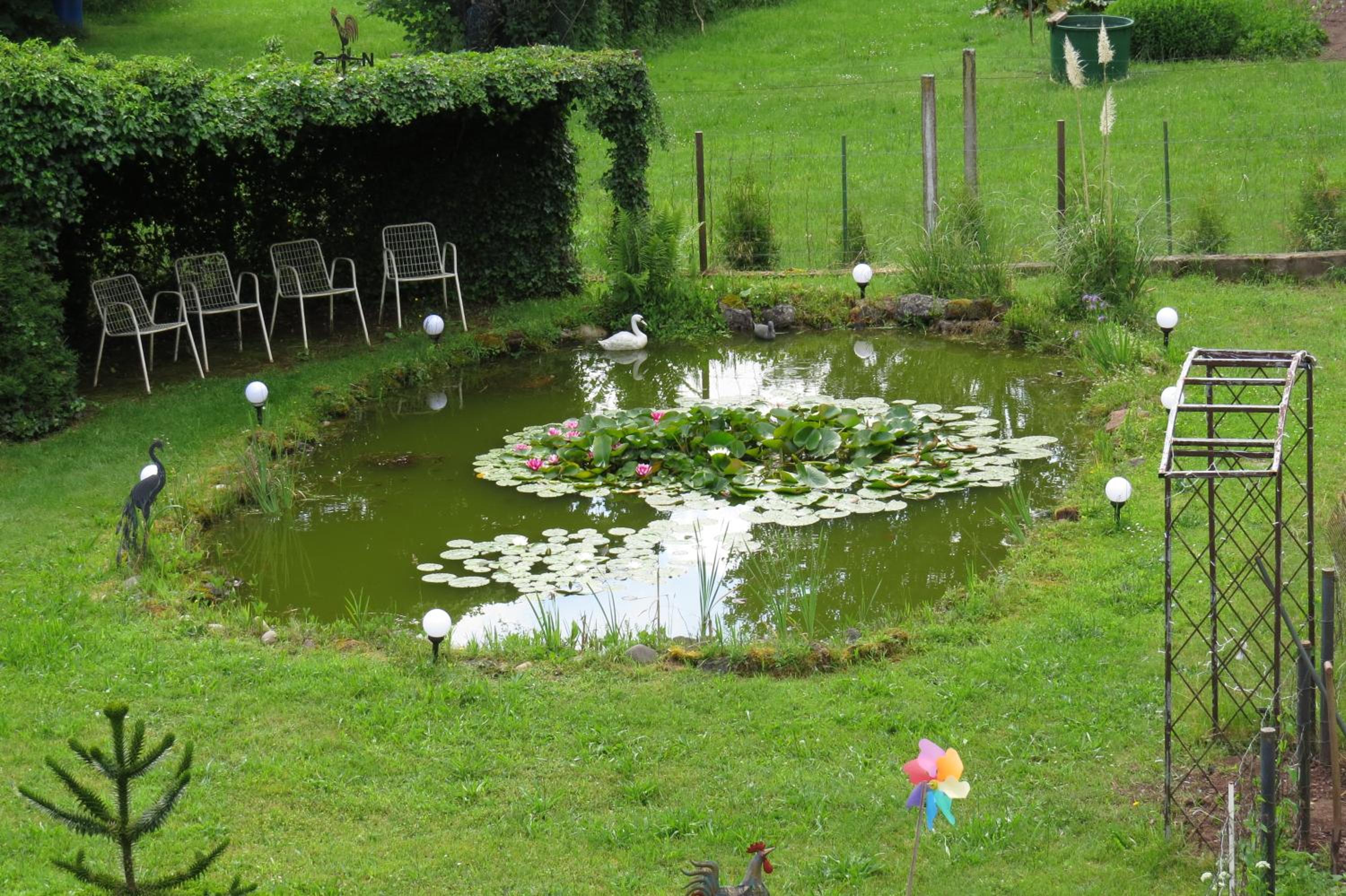 Photo 40