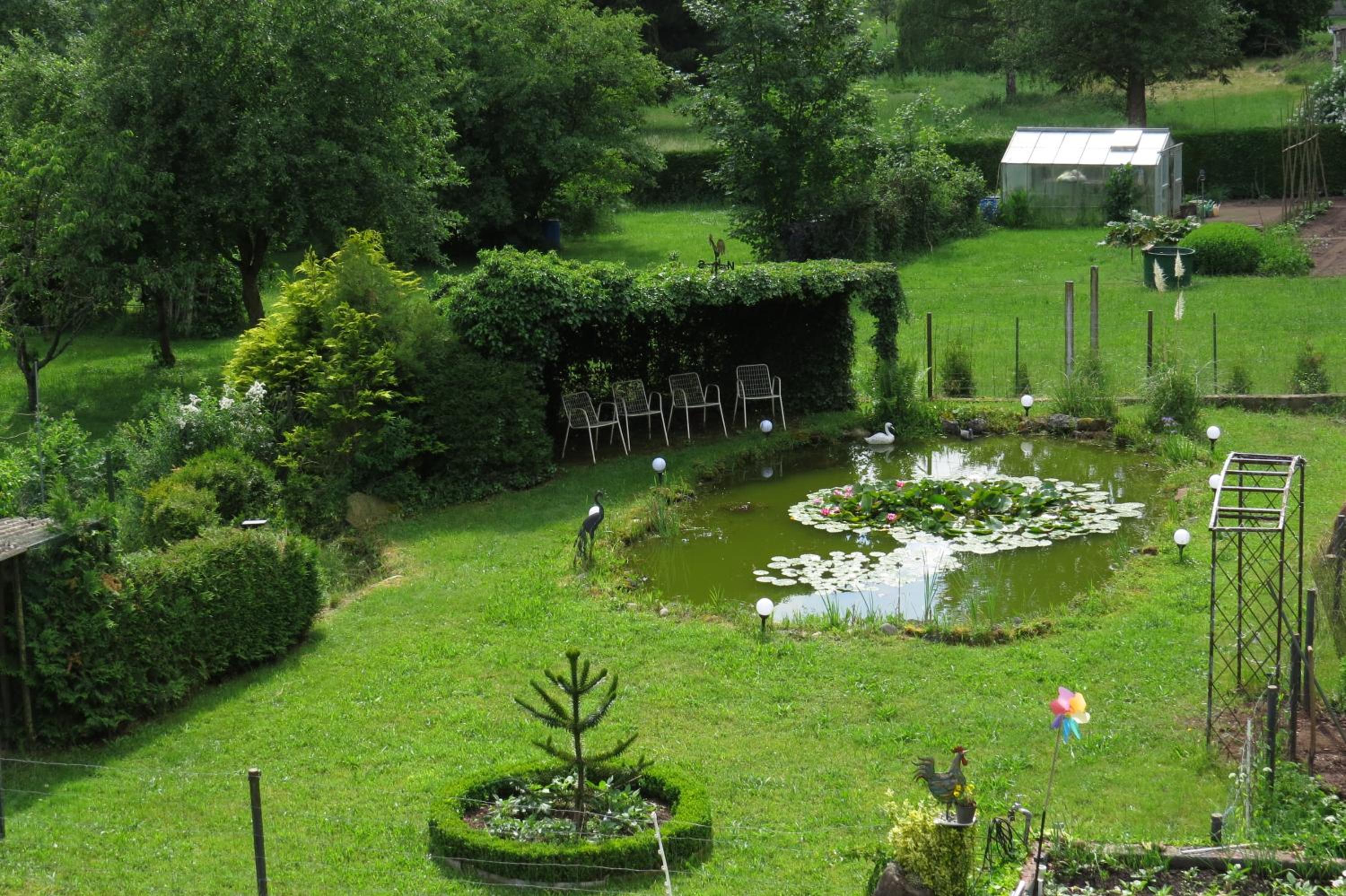 Photo 41