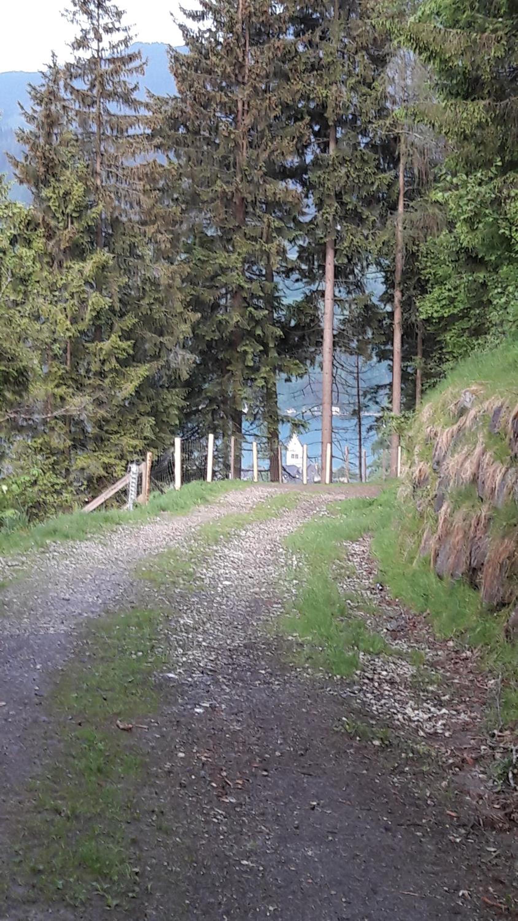 Pension Alpenrose