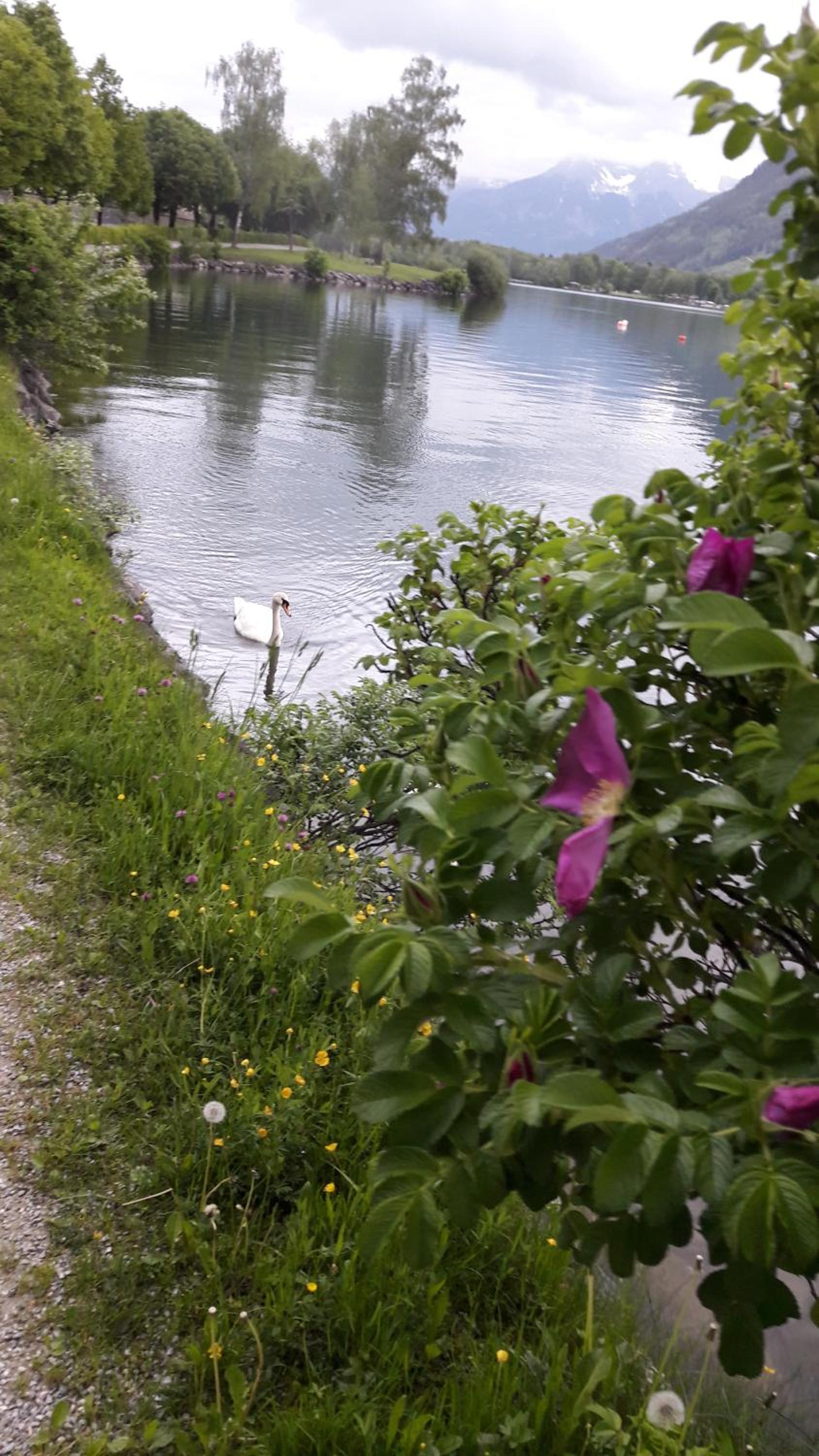 Pension Alpenrose