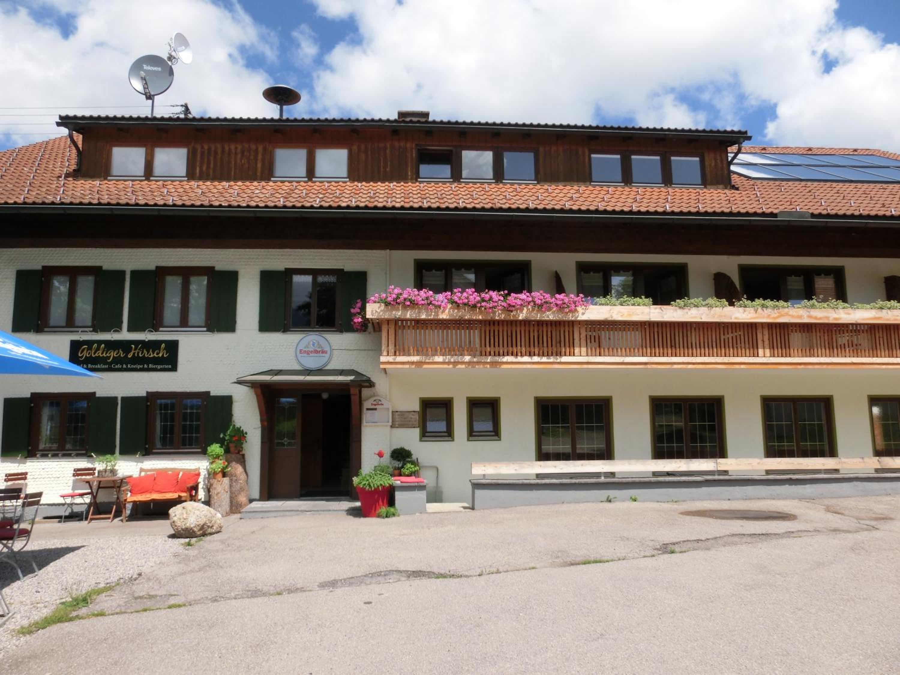 Goldiger Hirsch B&B mit Gemeinschaftsküche